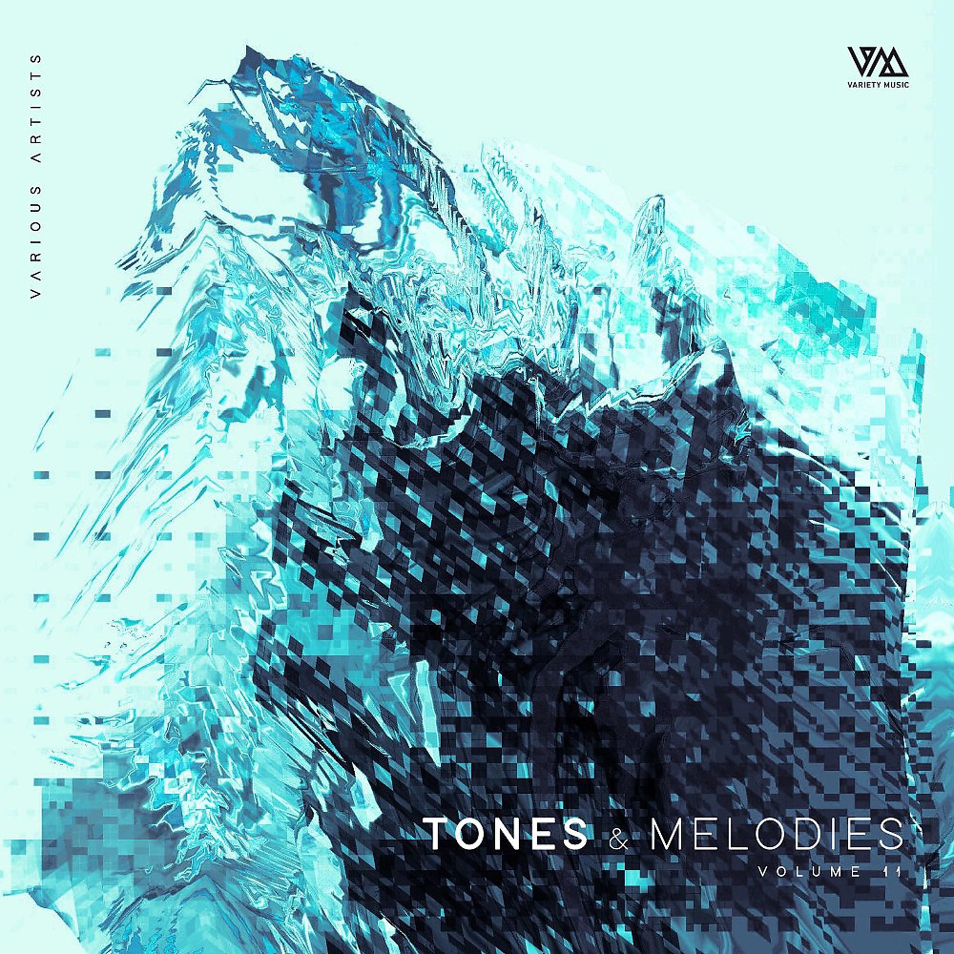 Постер альбома Tones & Melodies, Vol. 11