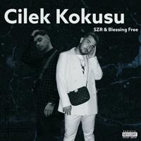 Постер альбома Cilek Kokusu