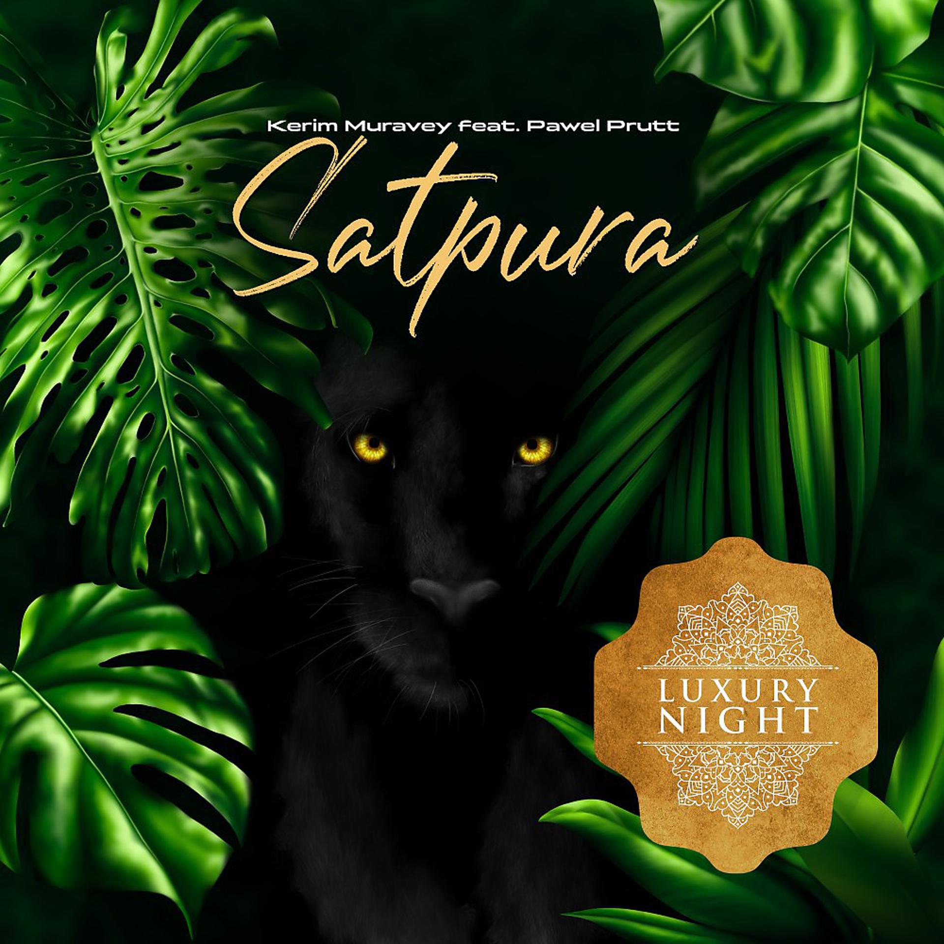 Постер альбома Satpura