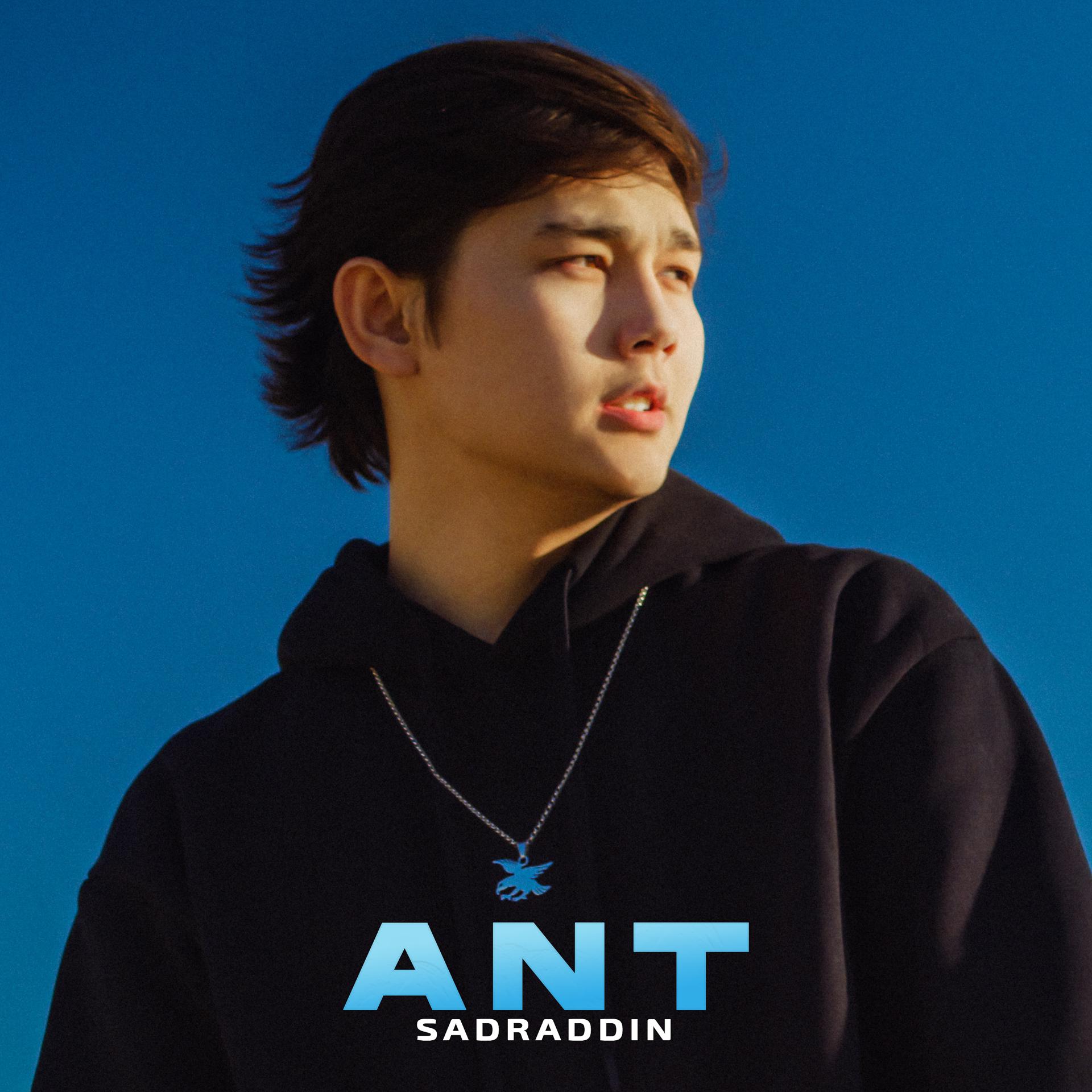 Постер альбома ANT