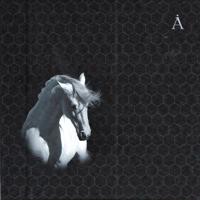 Постер альбома Лошадь белая