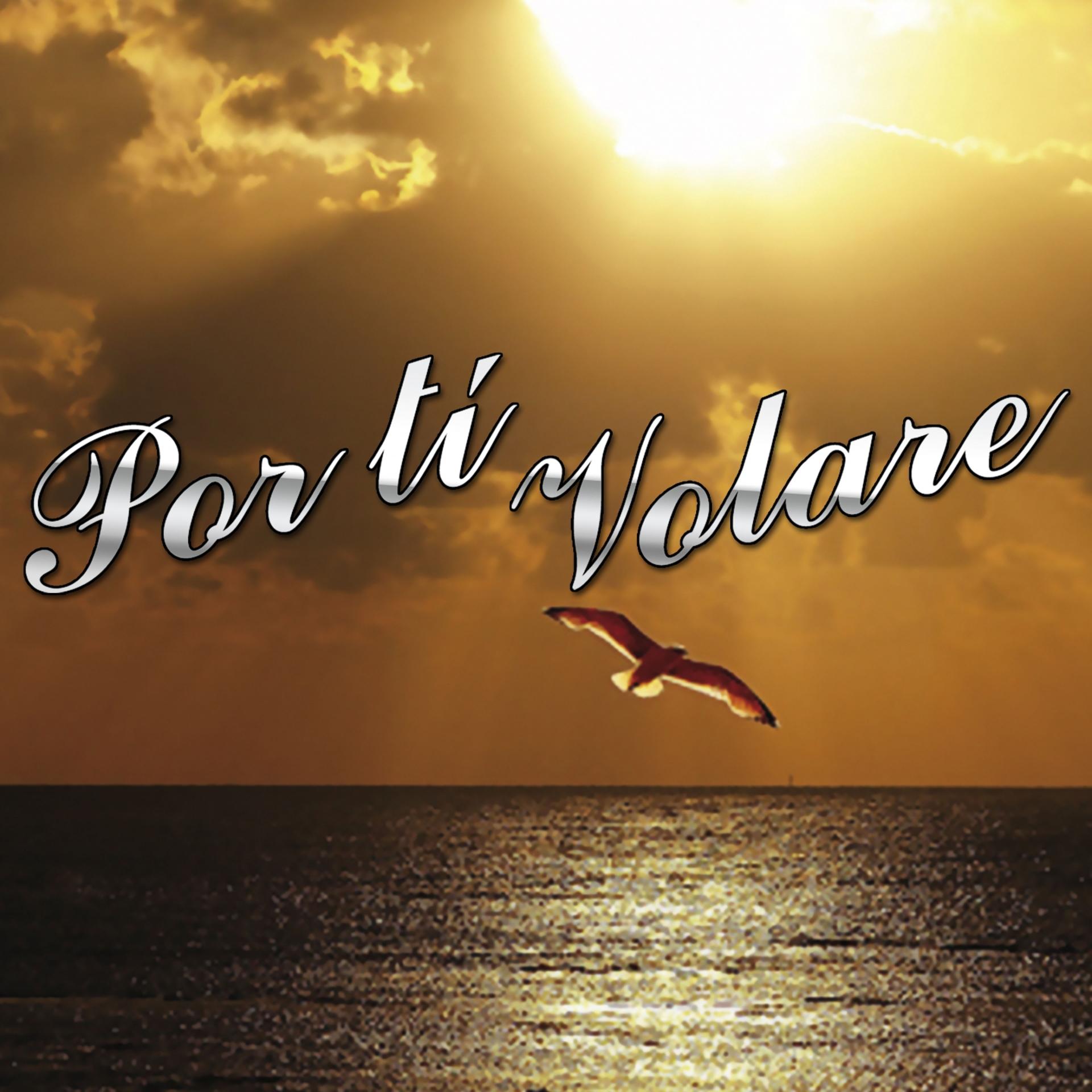 Постер альбома Por Ti Volare
