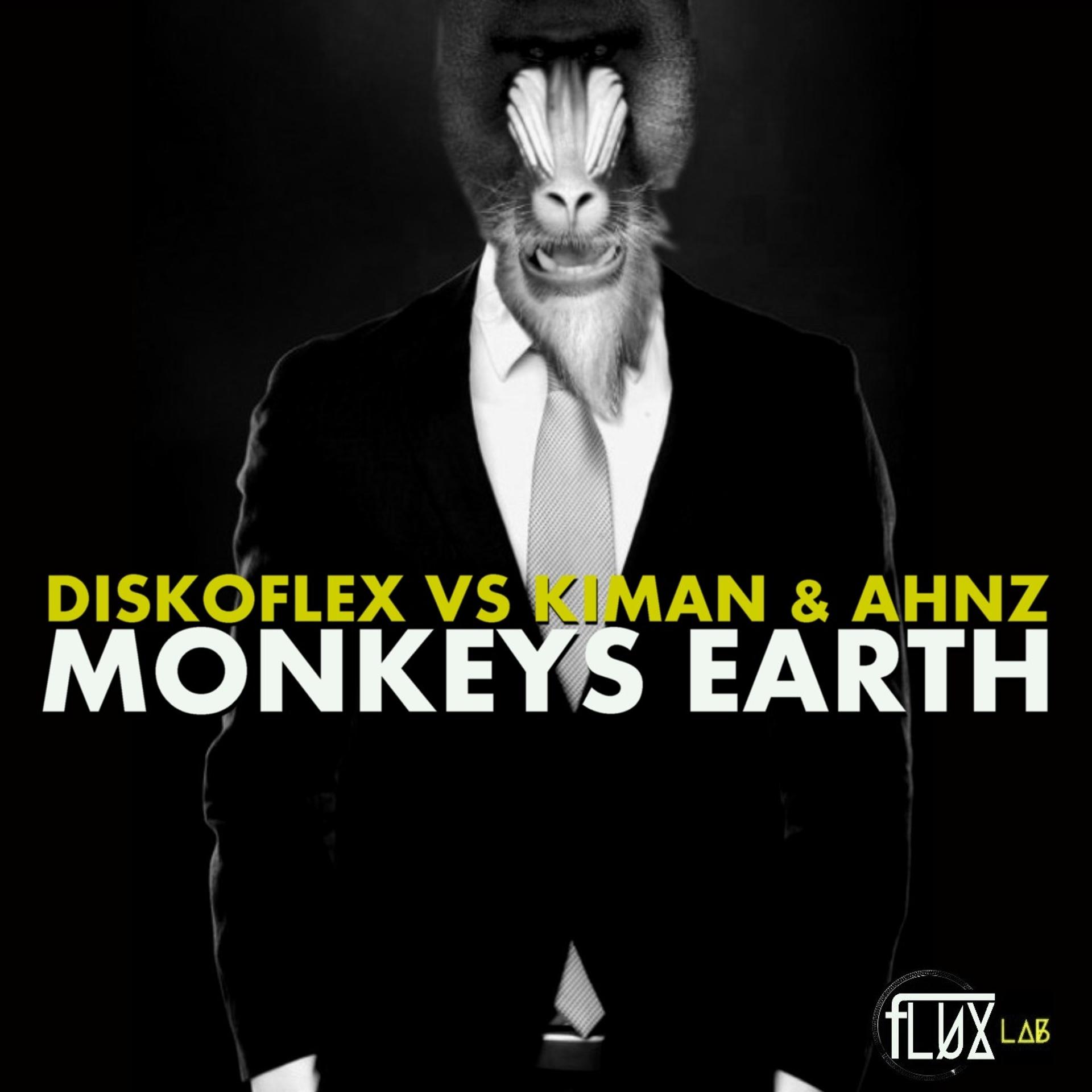 Постер альбома Monkey Earth