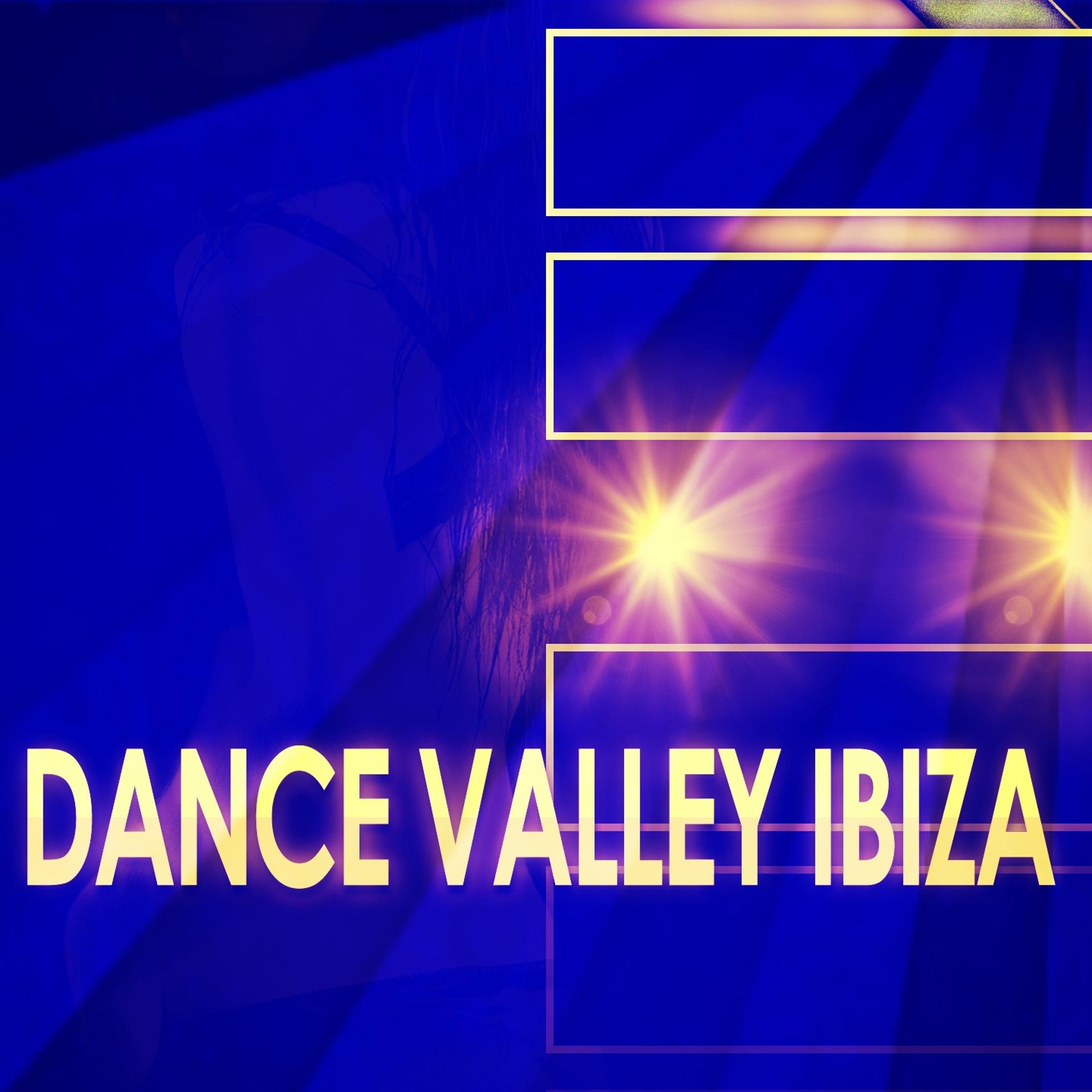 Постер альбома Dance Valley Ibiza (90 Best Songs House Electro Party & Festival DJ Kits)