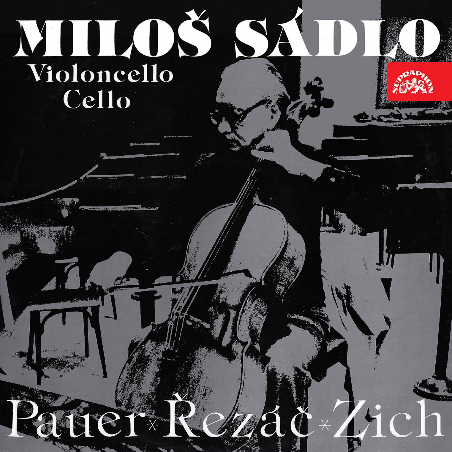 Постер альбома Works for Cello (Pauer, Řezáč, Zich)