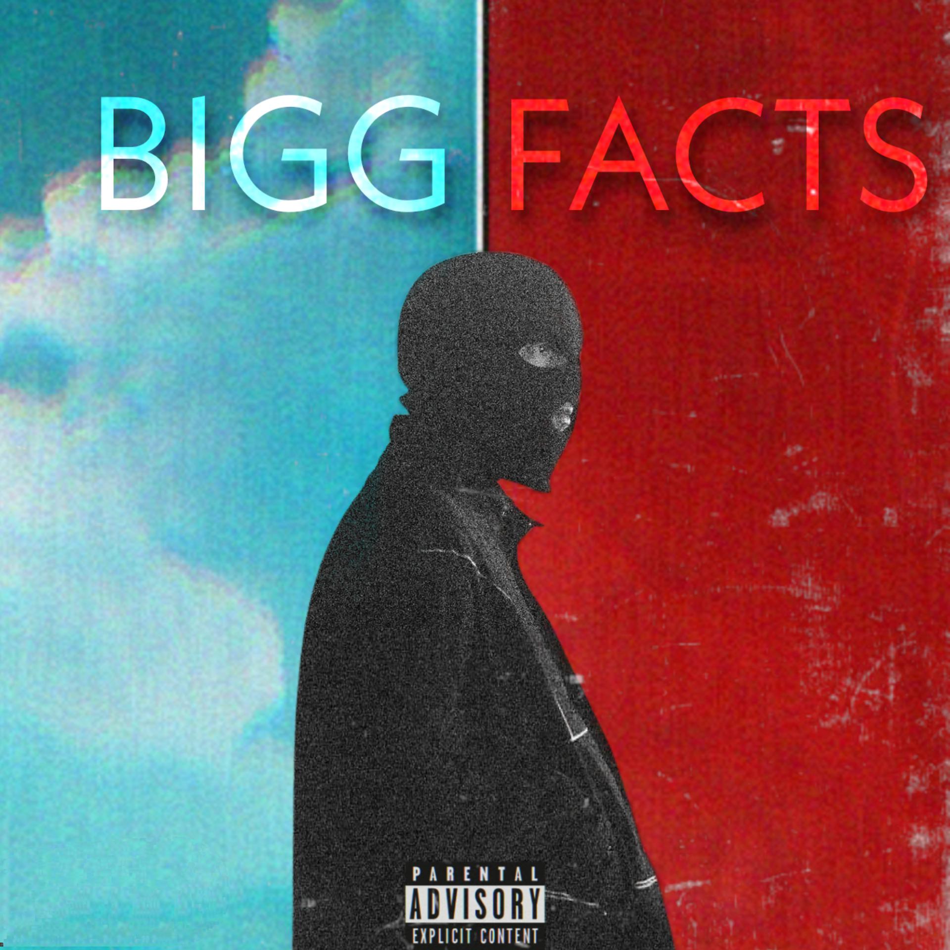 Постер альбома Bigg Facts