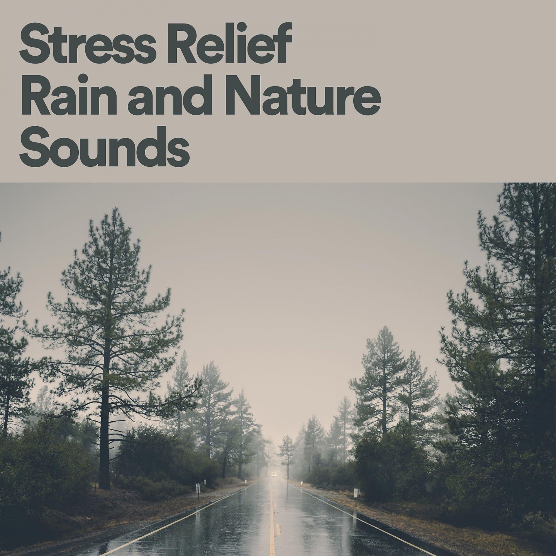 Постер альбома Stress Relief Rain and Nature Sounds