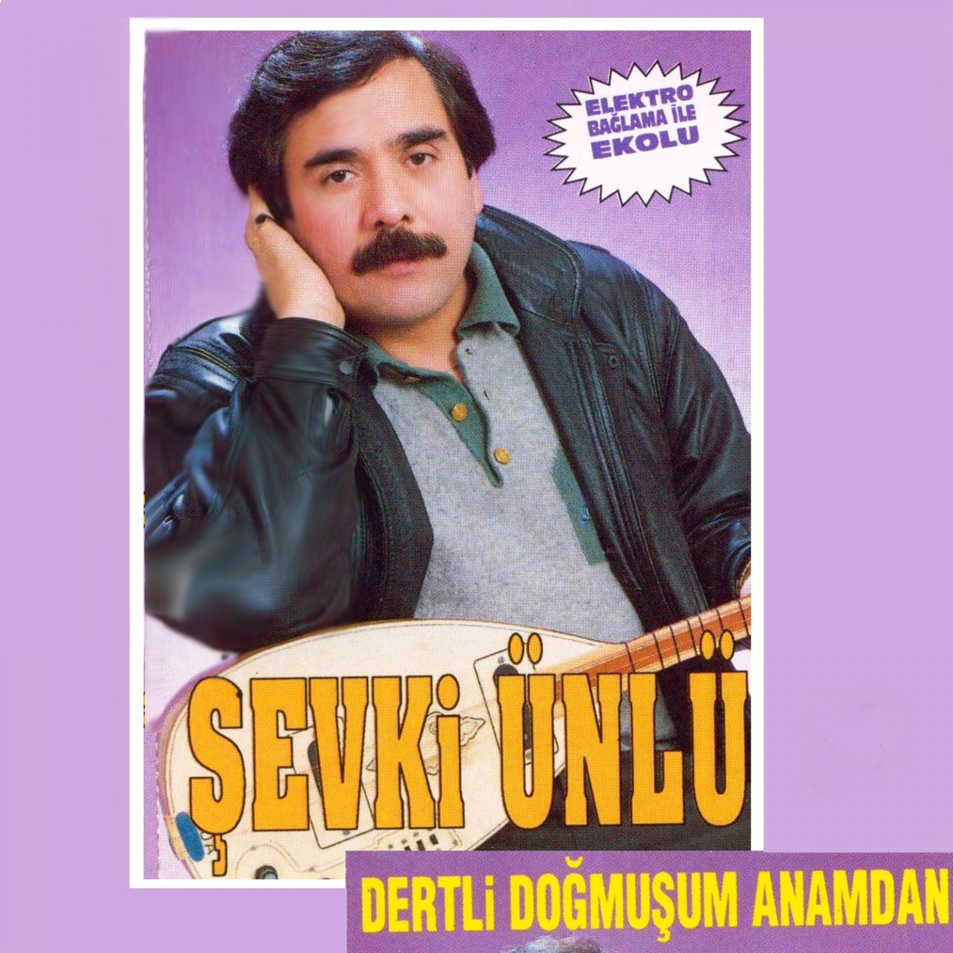 Постер альбома Dertli Doğmuşum Anamdan