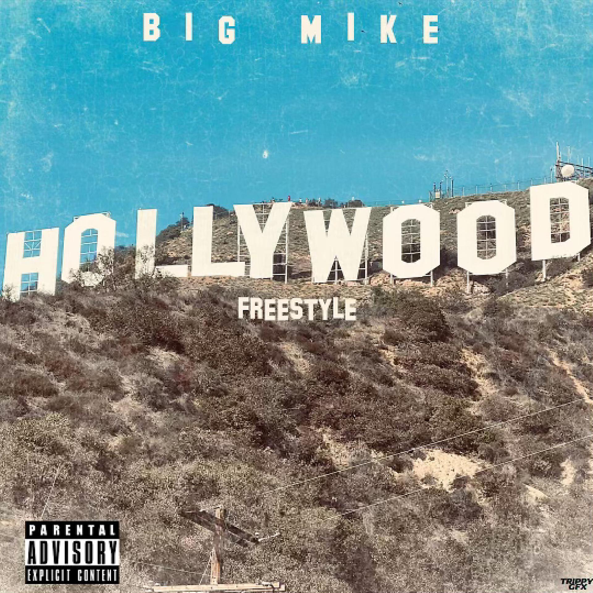 Постер альбома Hollywood Freestyle