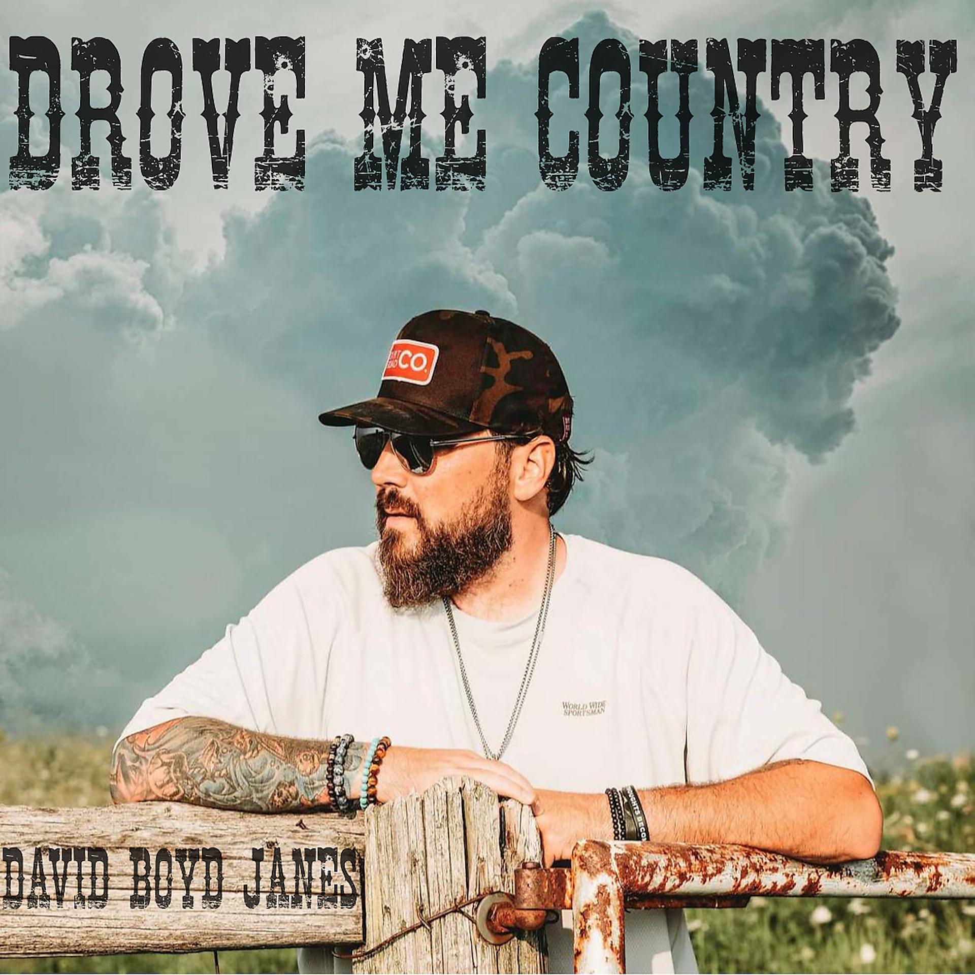 Постер альбома Drove Me Country