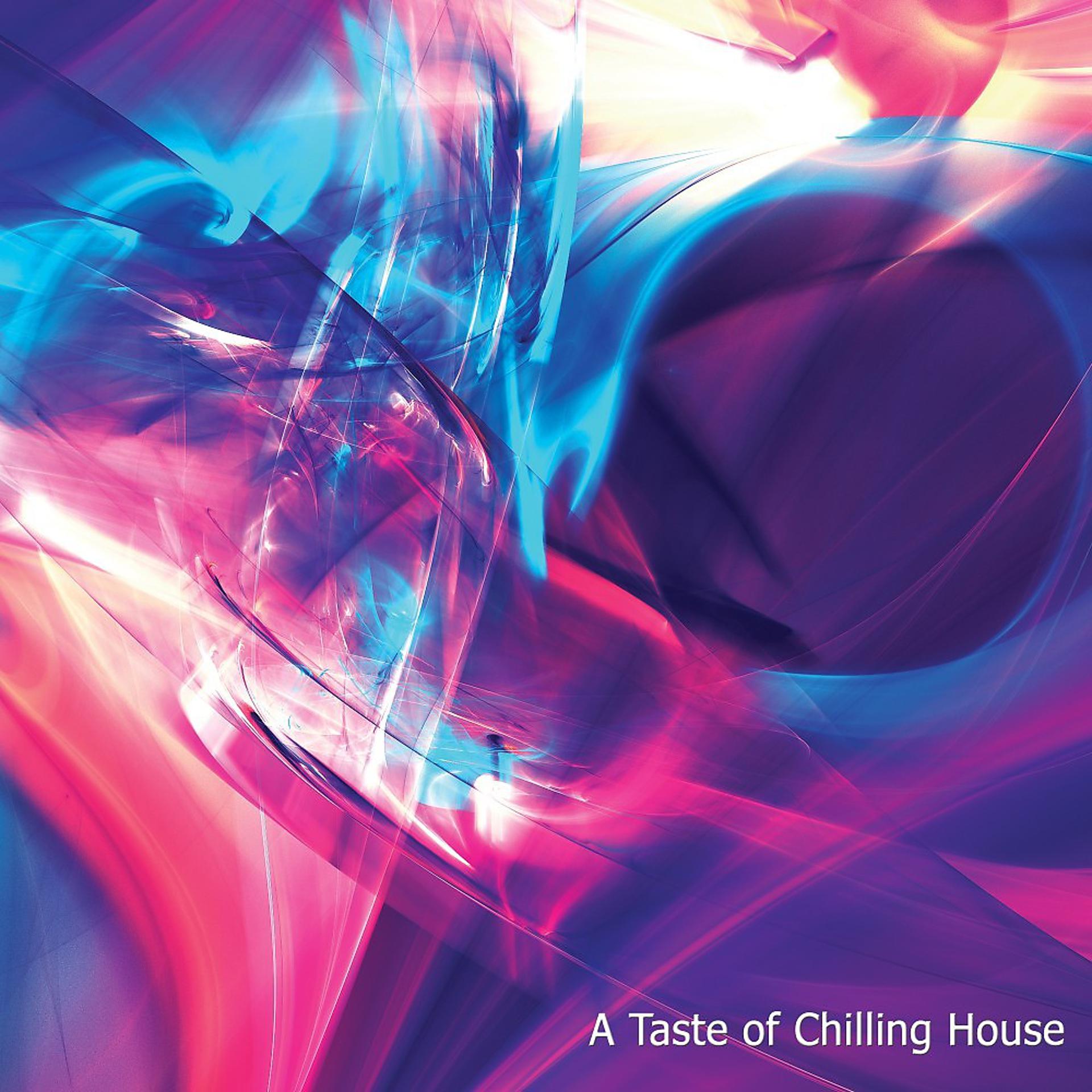 Постер альбома A Taste of Chilling House