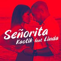 Постер альбома Señorita (Radio Edit)