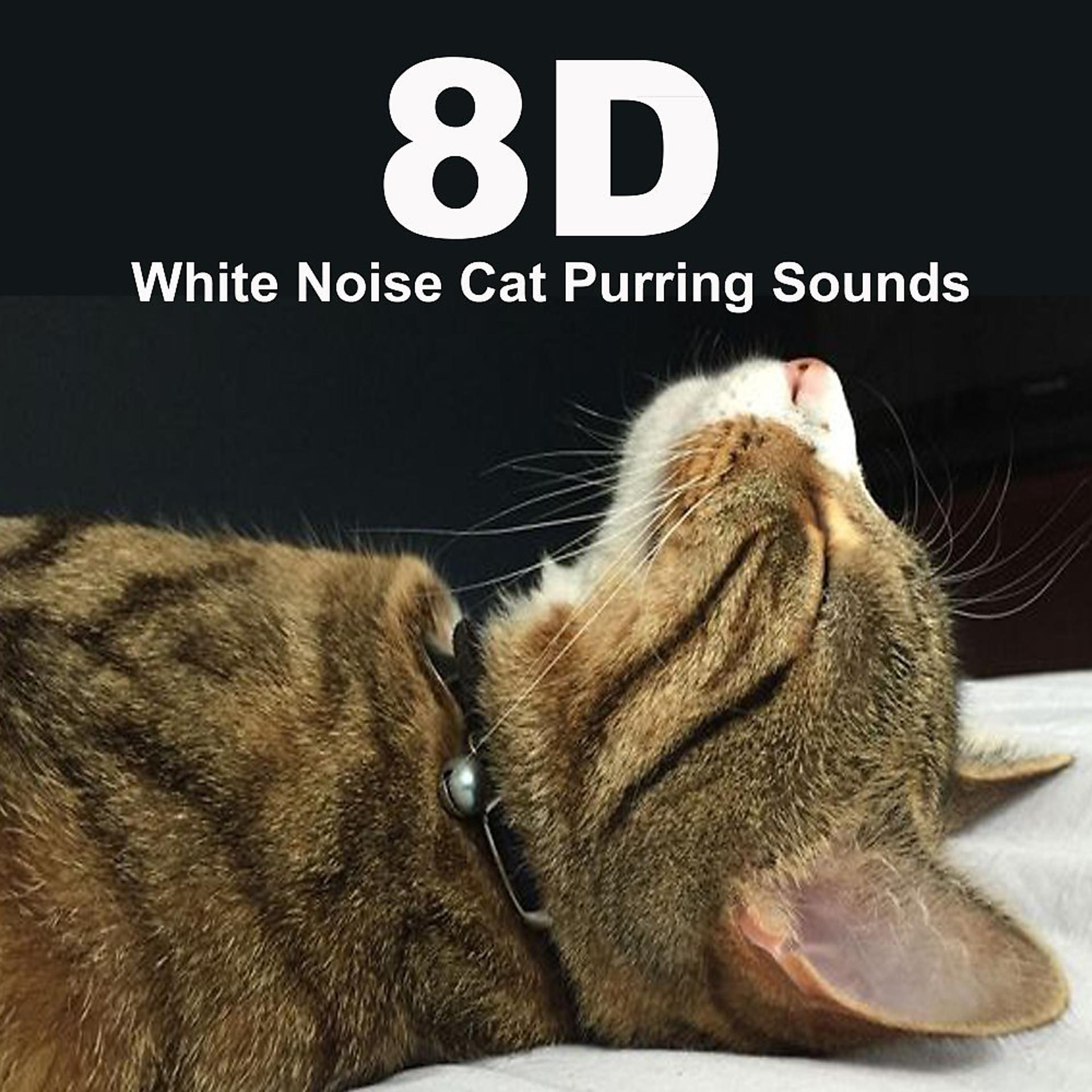 Постер альбома White Noise Cat Purring Sounds (Use Headphones)