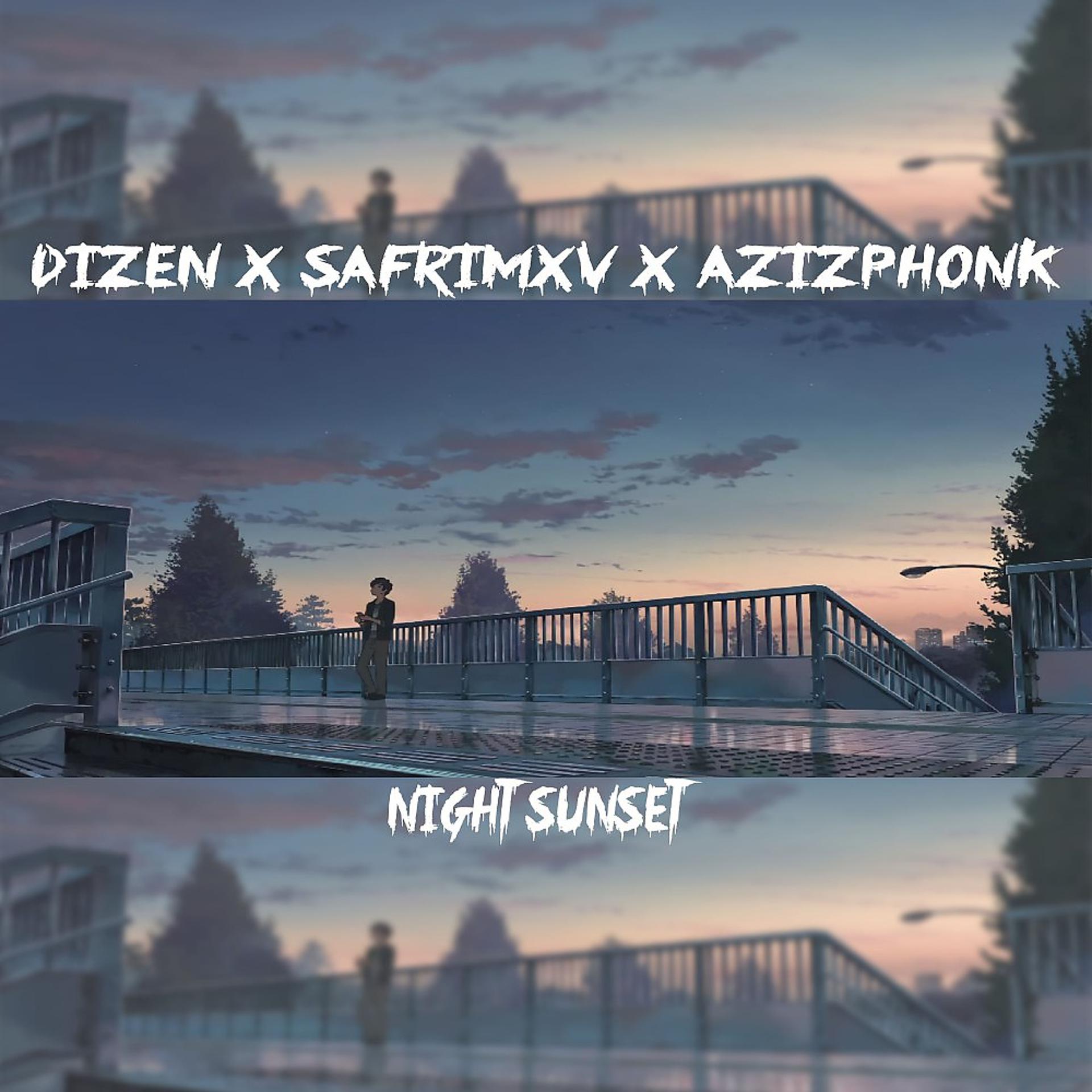 Постер альбома Night Sunset