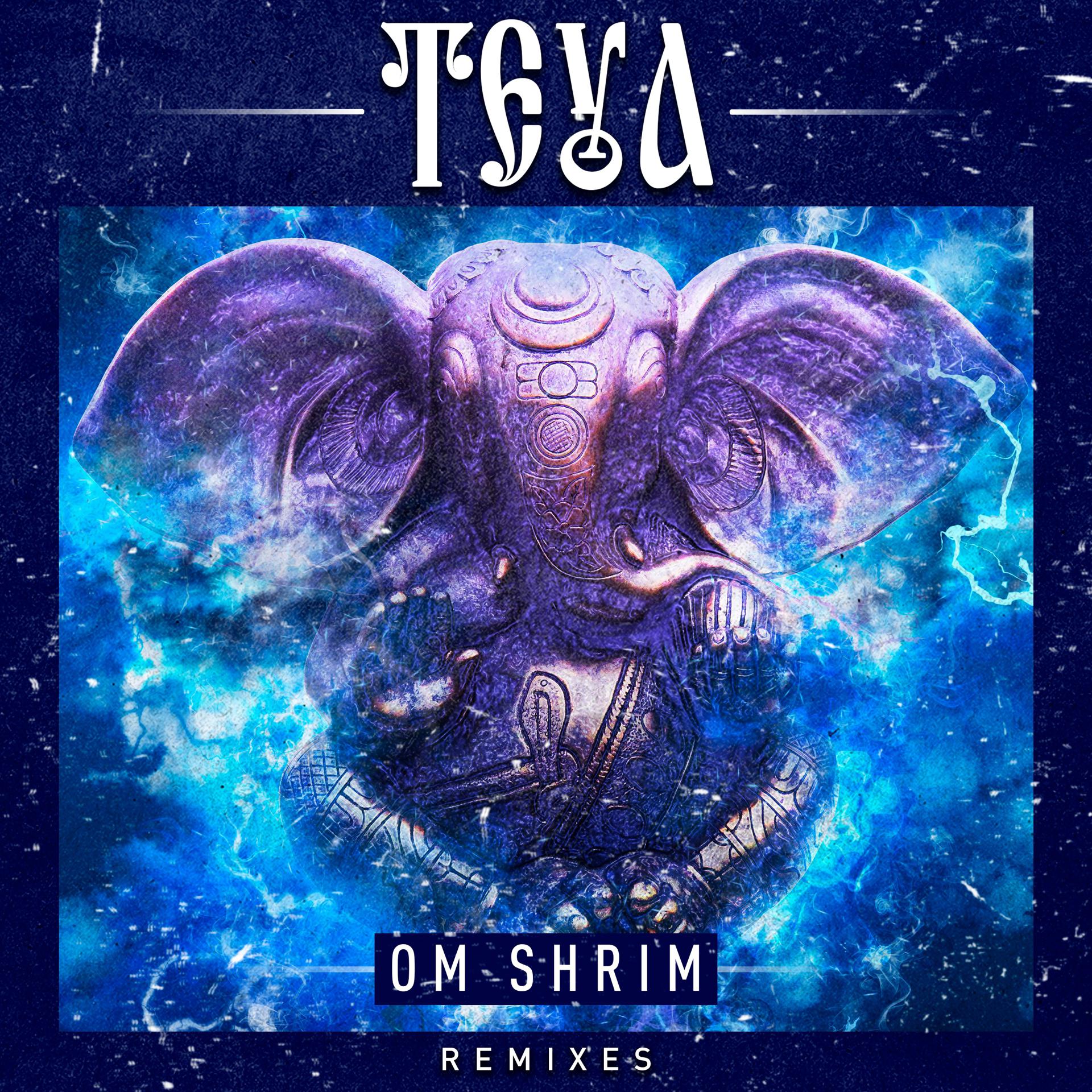 Постер альбома Om Shrim (Remixes)