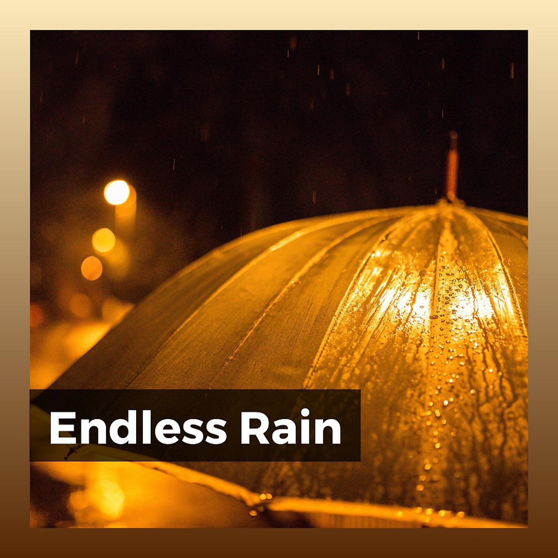 Постер альбома Endless Rain
