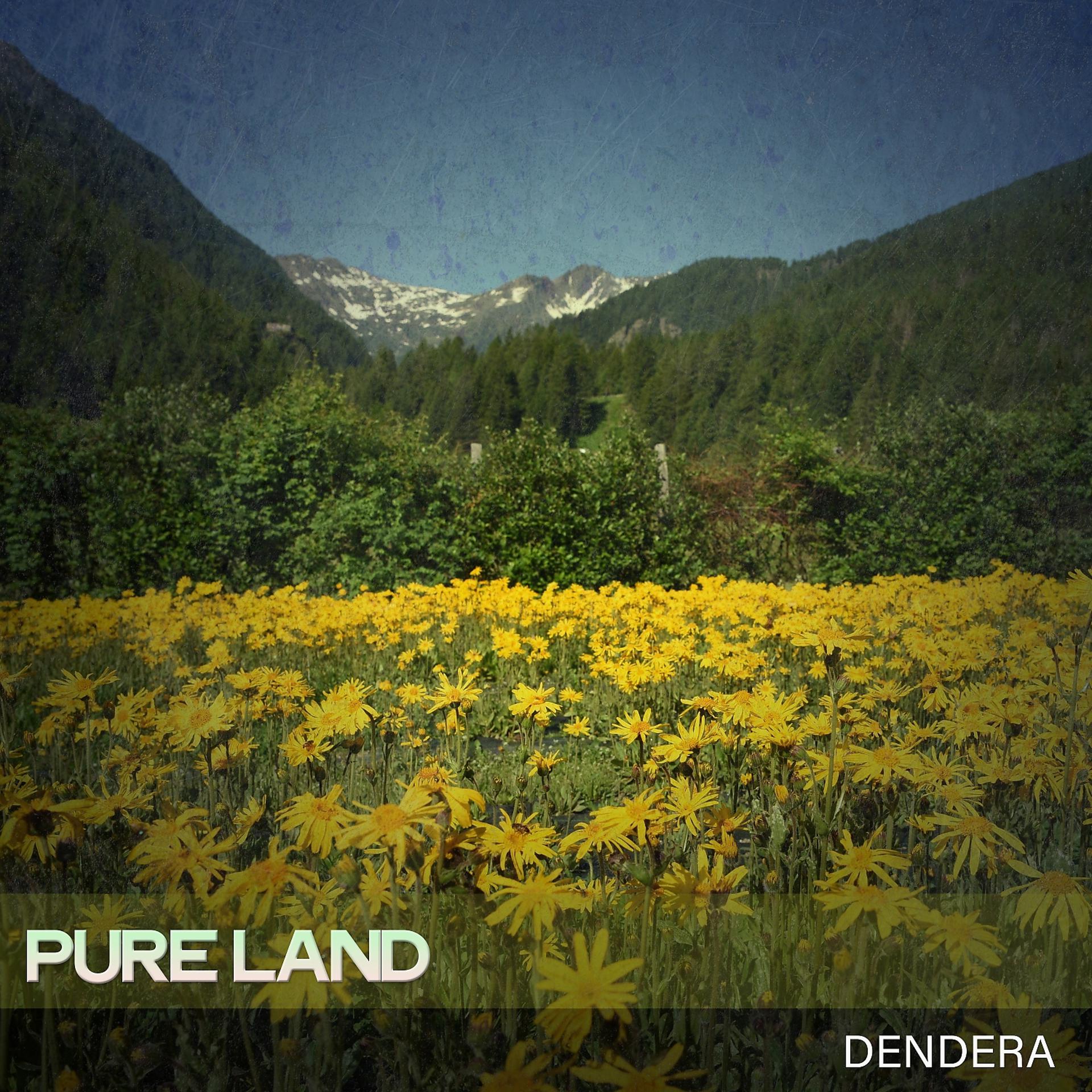 Постер альбома Pure Land