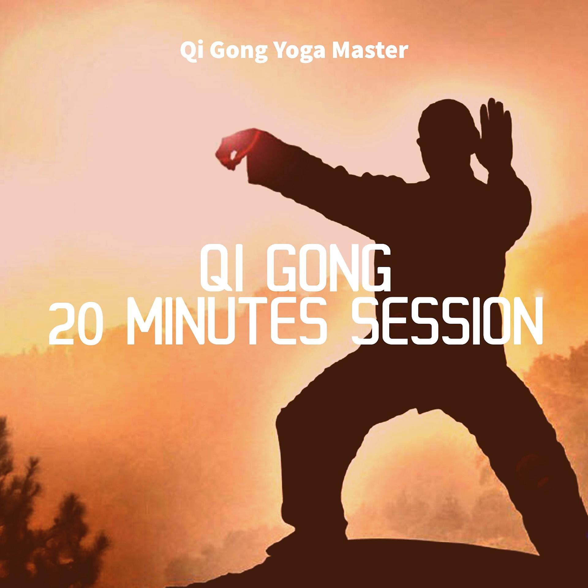 Постер альбома Qi Gong 20 Minutes Session