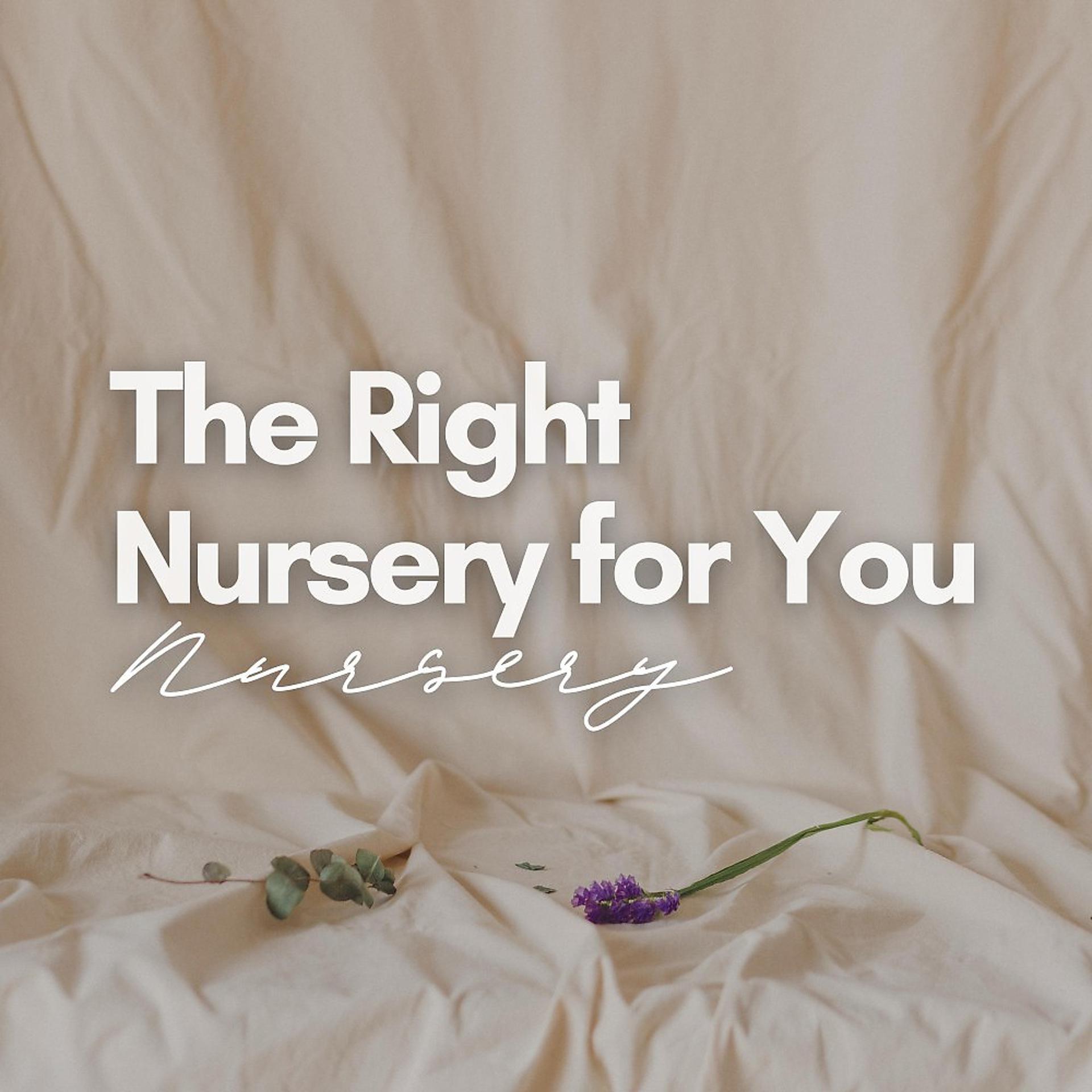 Постер альбома The Right Nursery for You