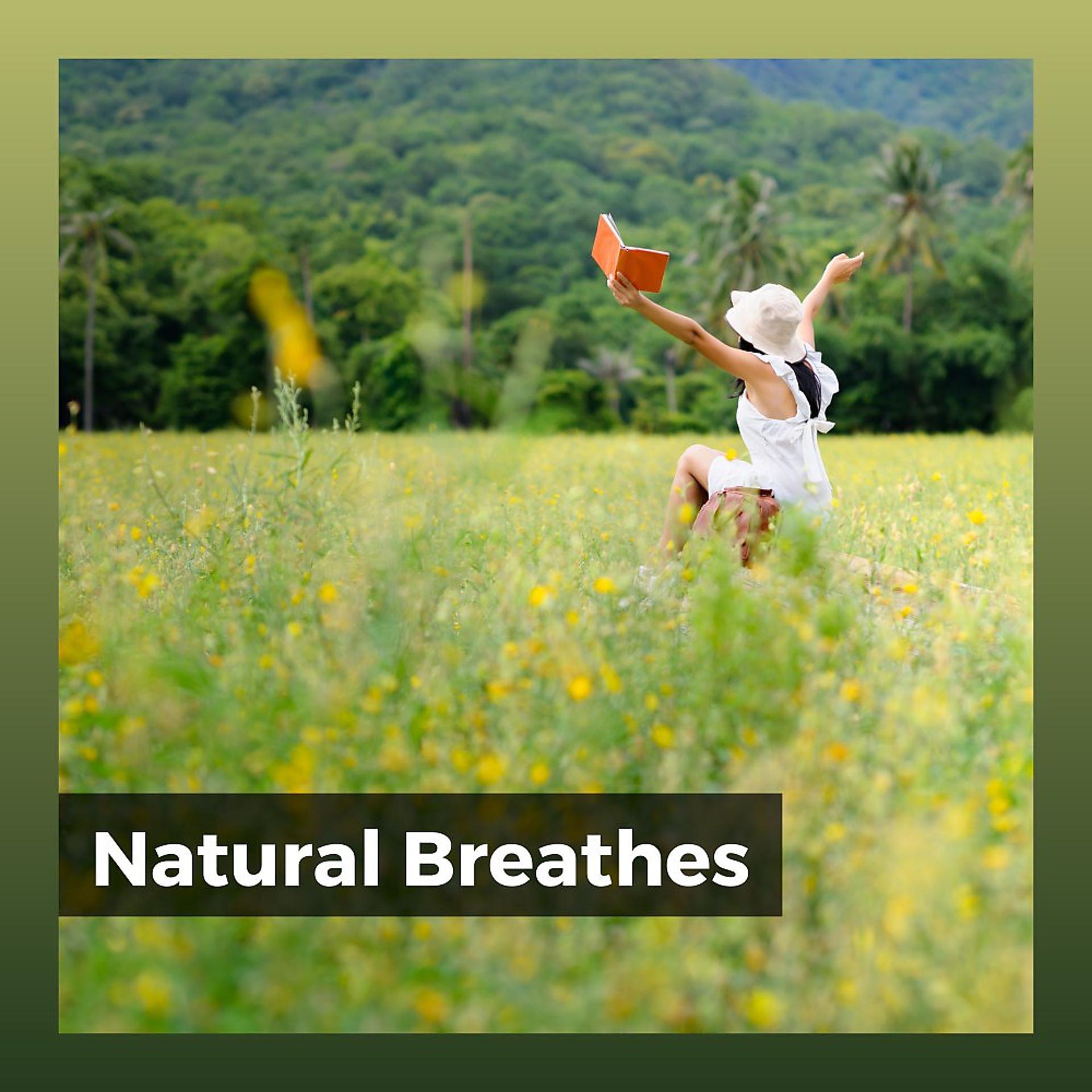 Постер альбома Natural Breaths