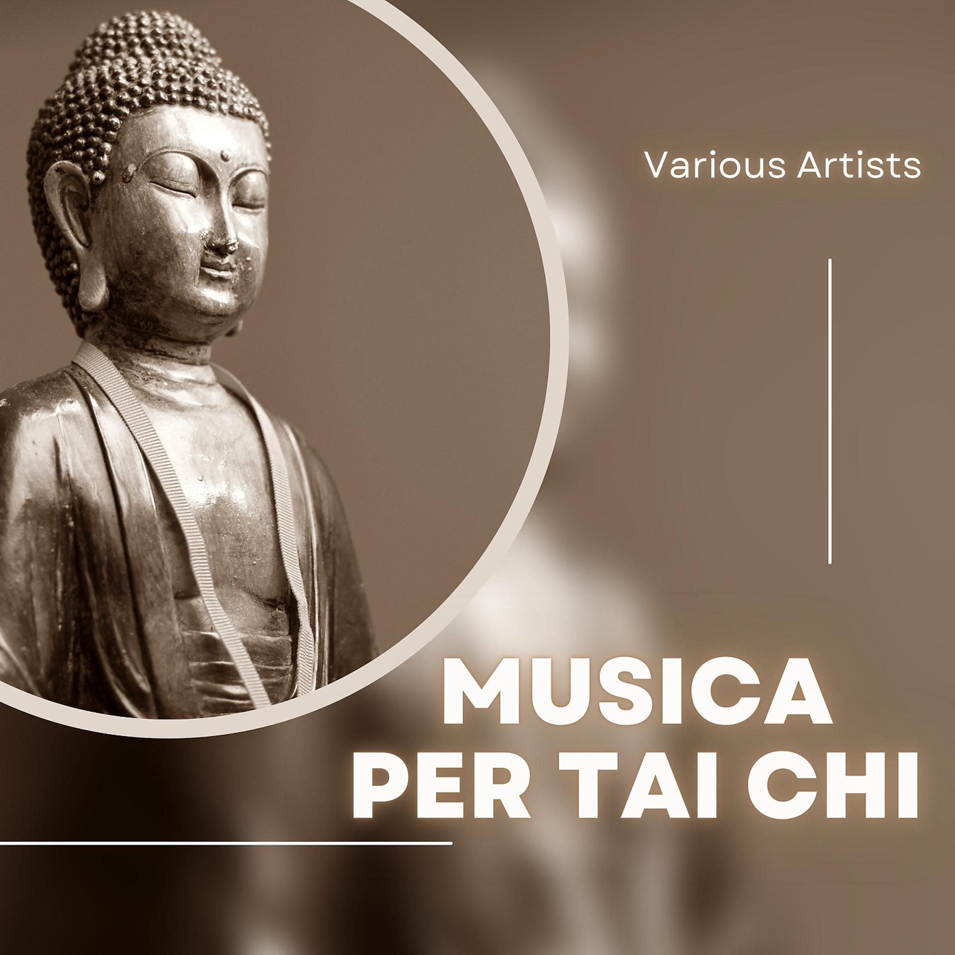 Постер альбома Musica Per Tai Chi