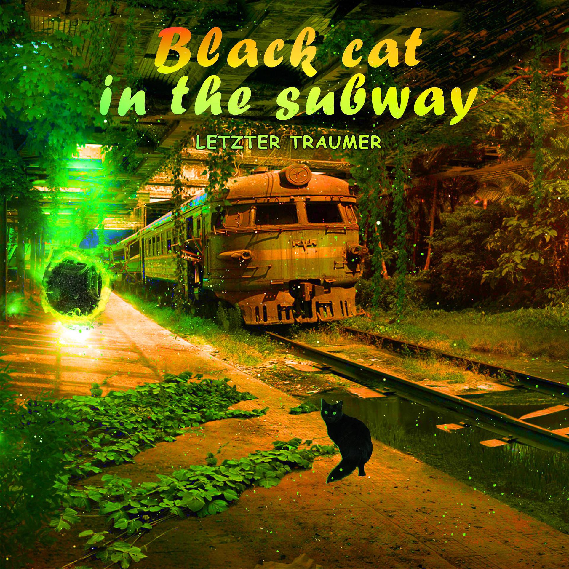 Постер альбома black cat in the subway