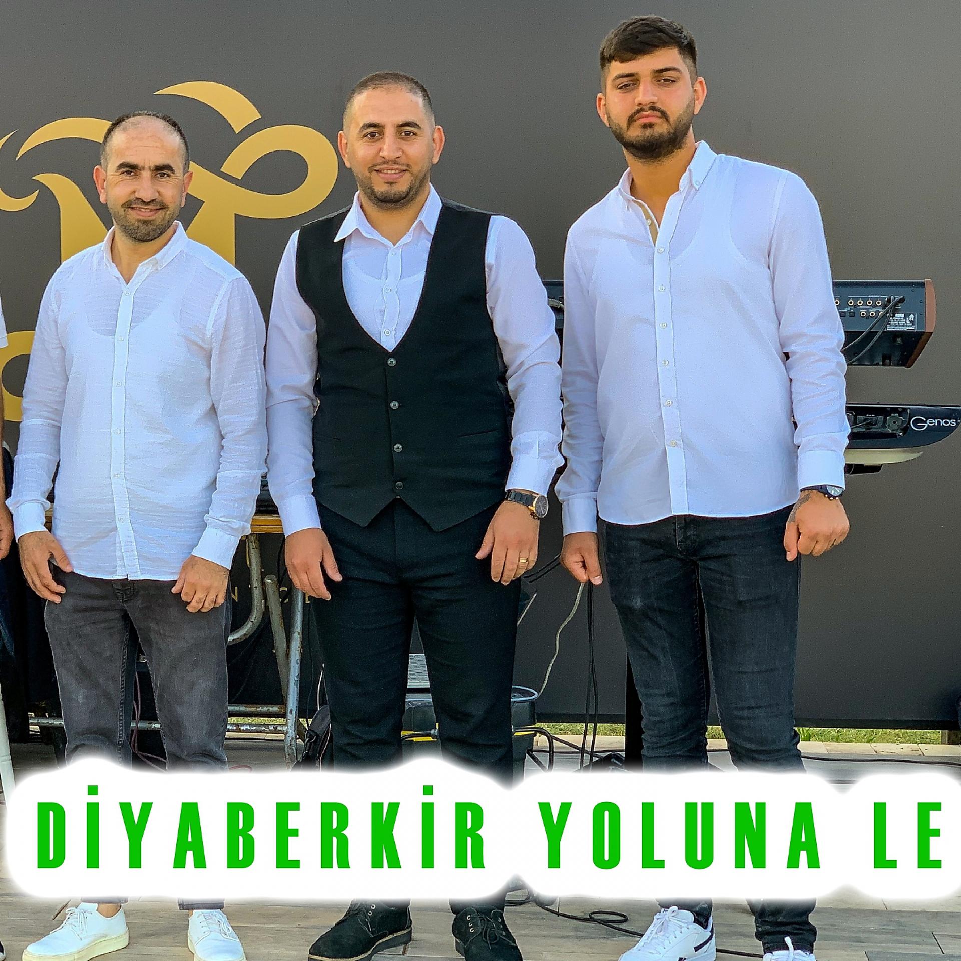 Постер альбома Diyarbekir Yoluna Le