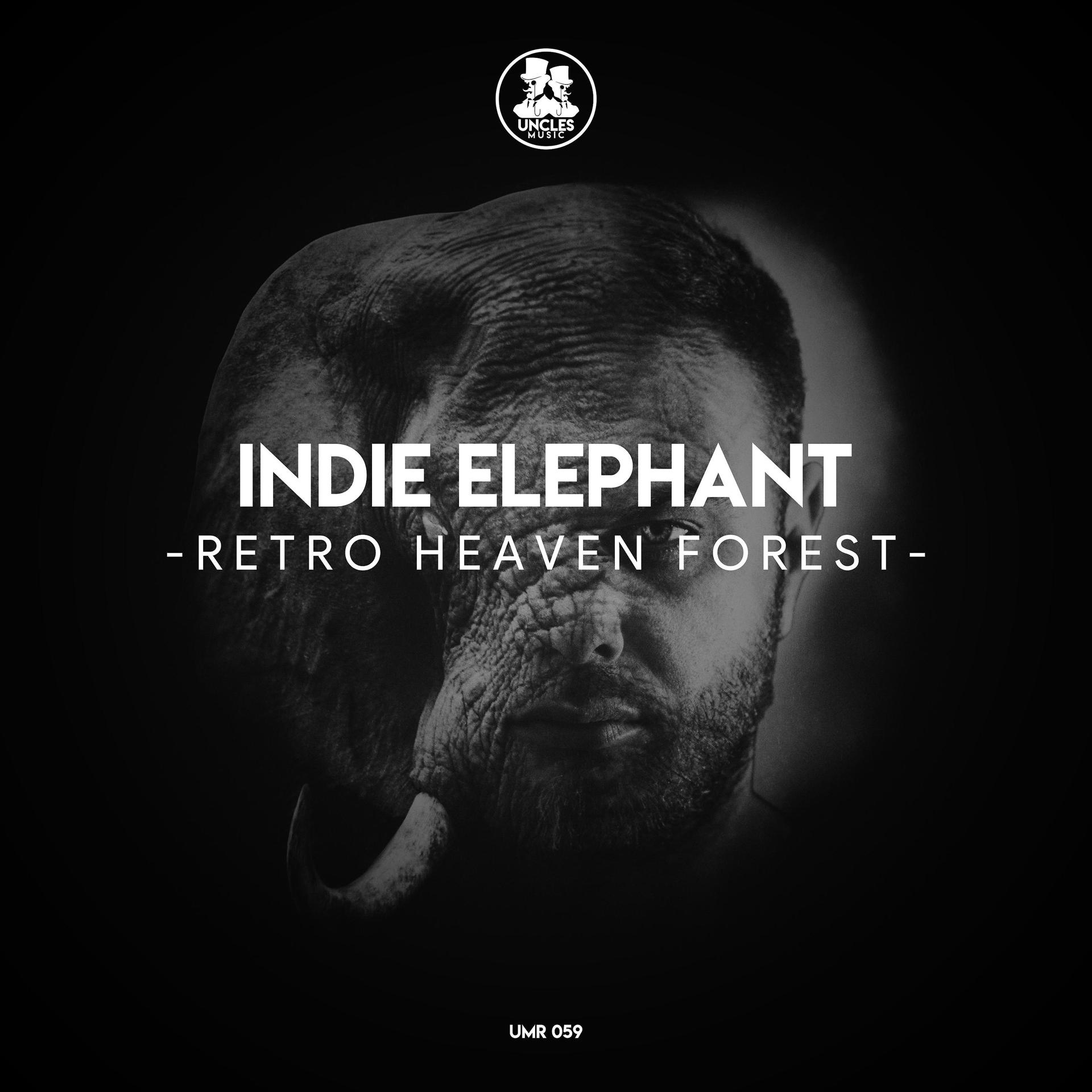 Постер альбома Retro Heaven Forest 