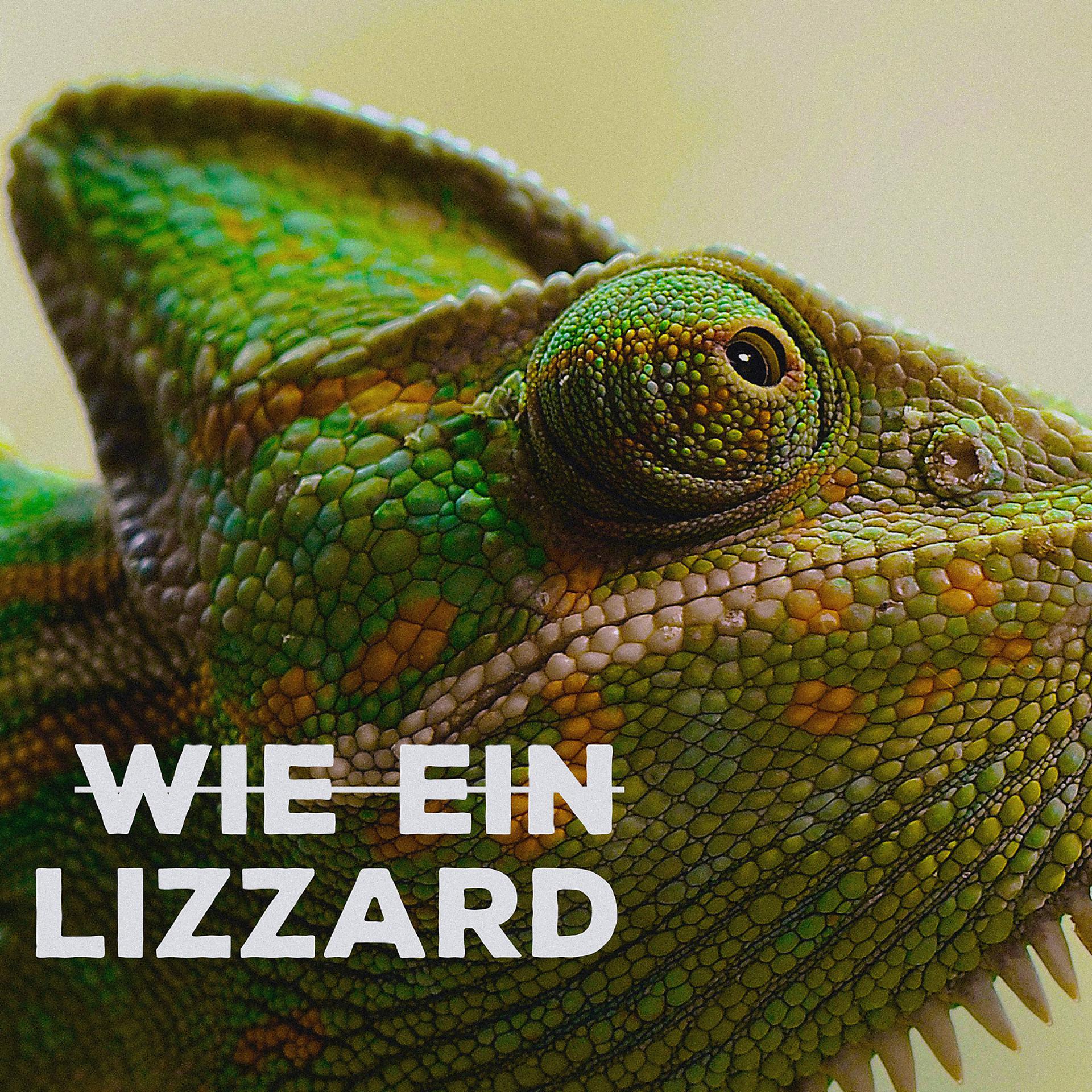 Постер альбома Wie ein Lizzard