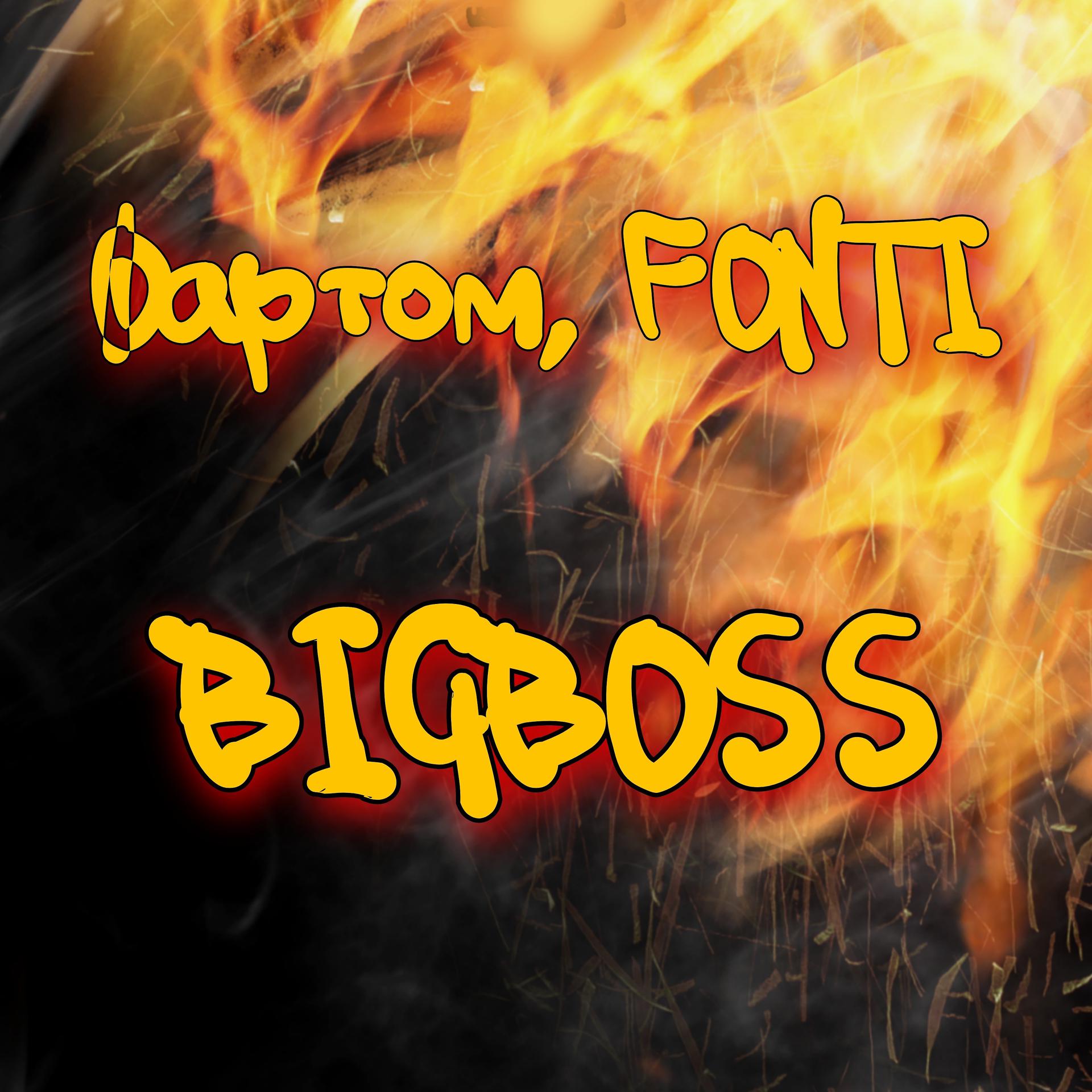 Постер альбома Bigboss