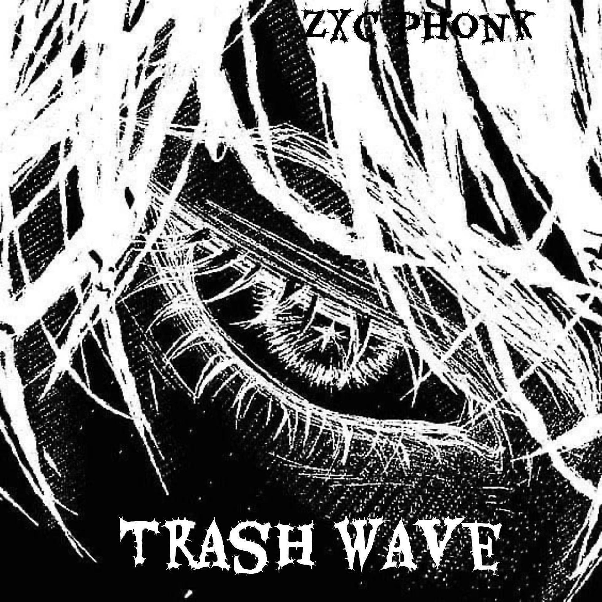 Постер альбома Trash Wave