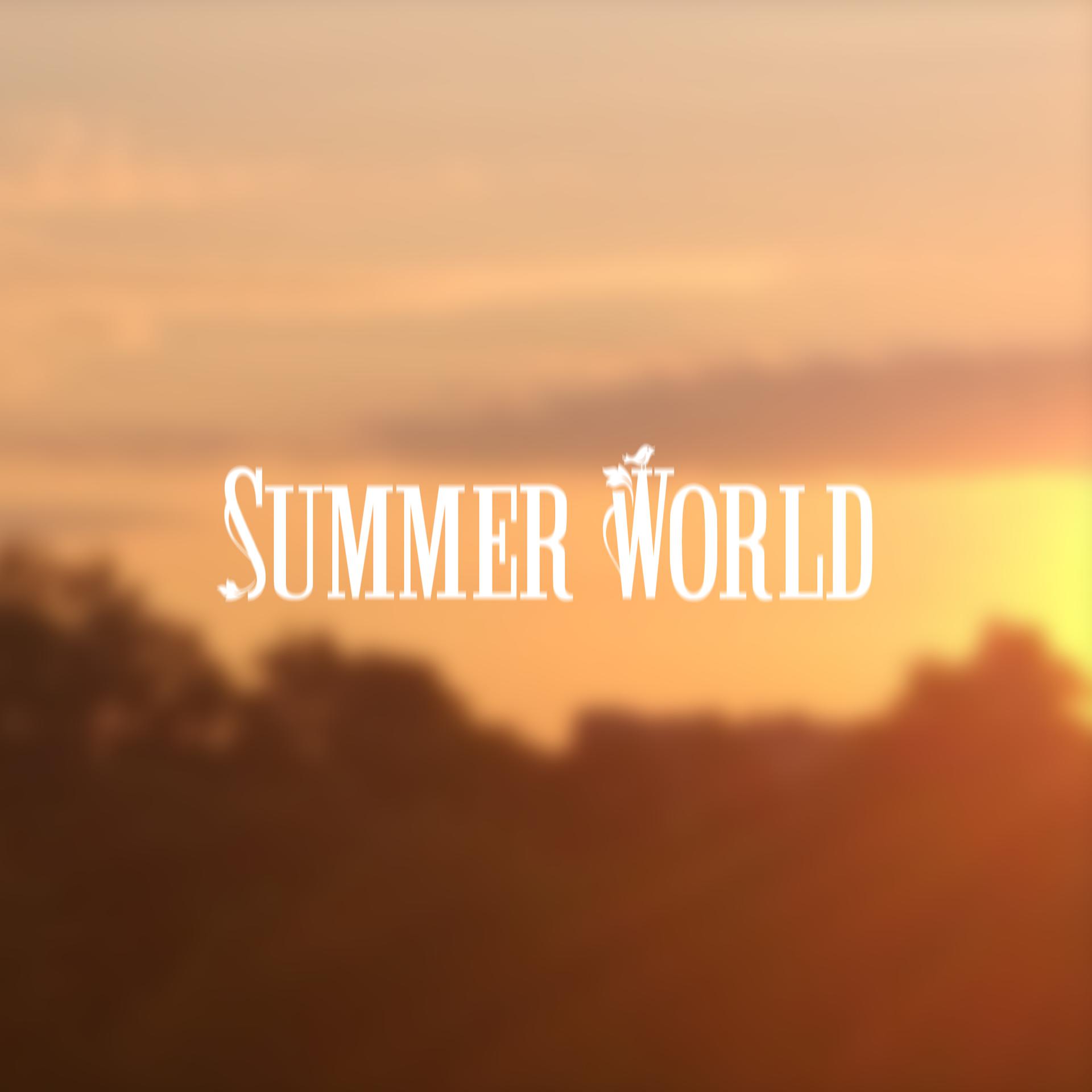 Постер альбома Summer World