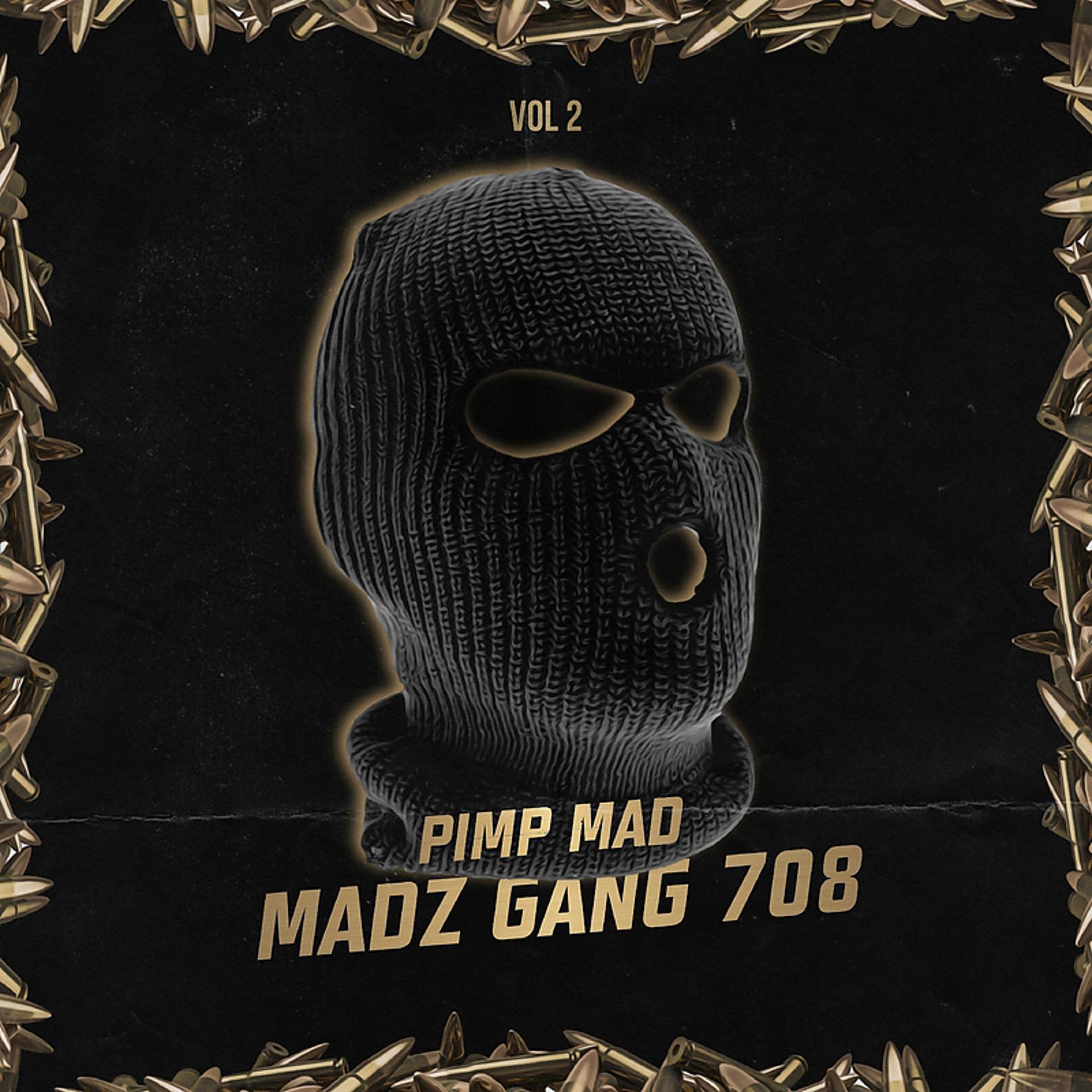 Постер альбома Madz Gang 708