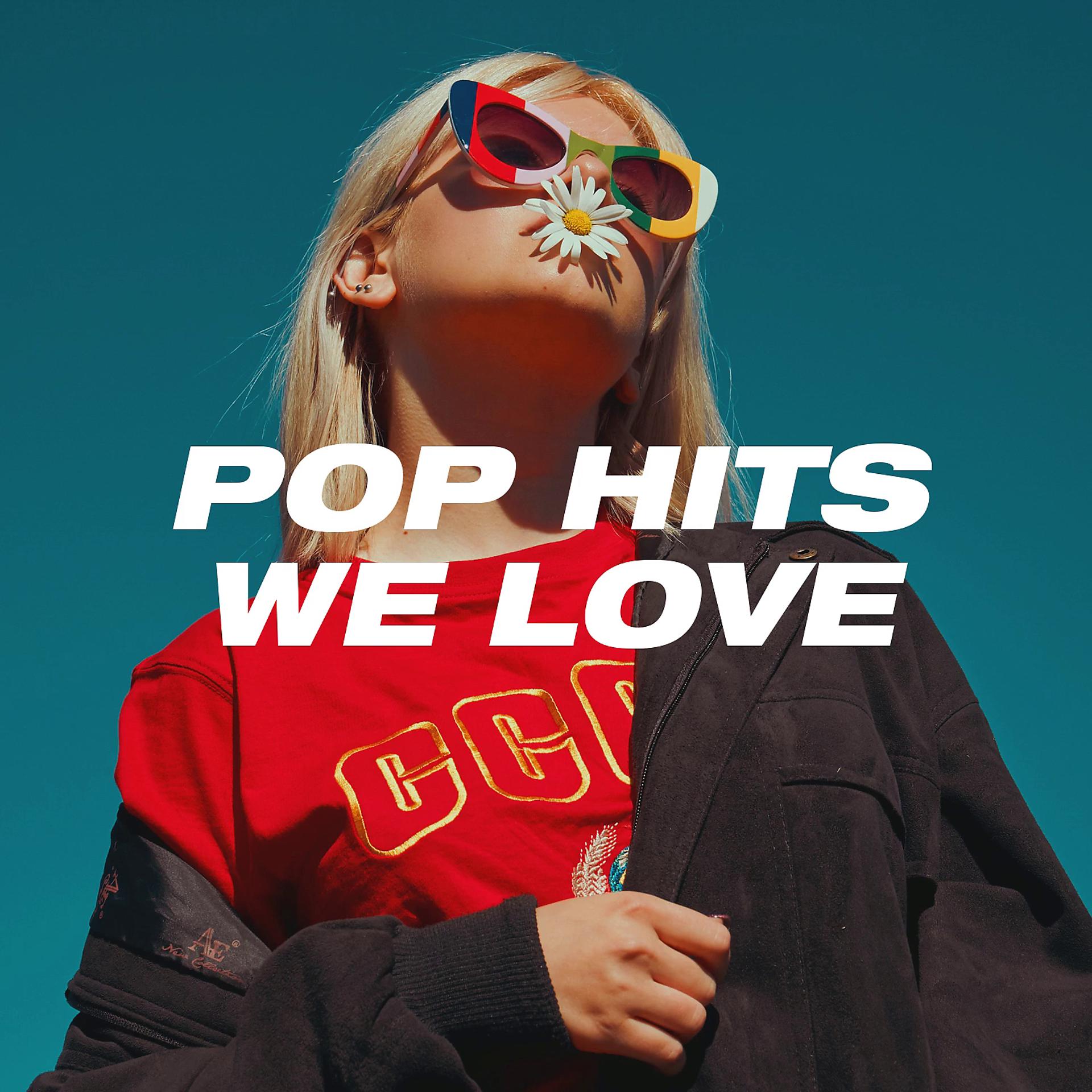 Постер альбома Pop Hits We Love