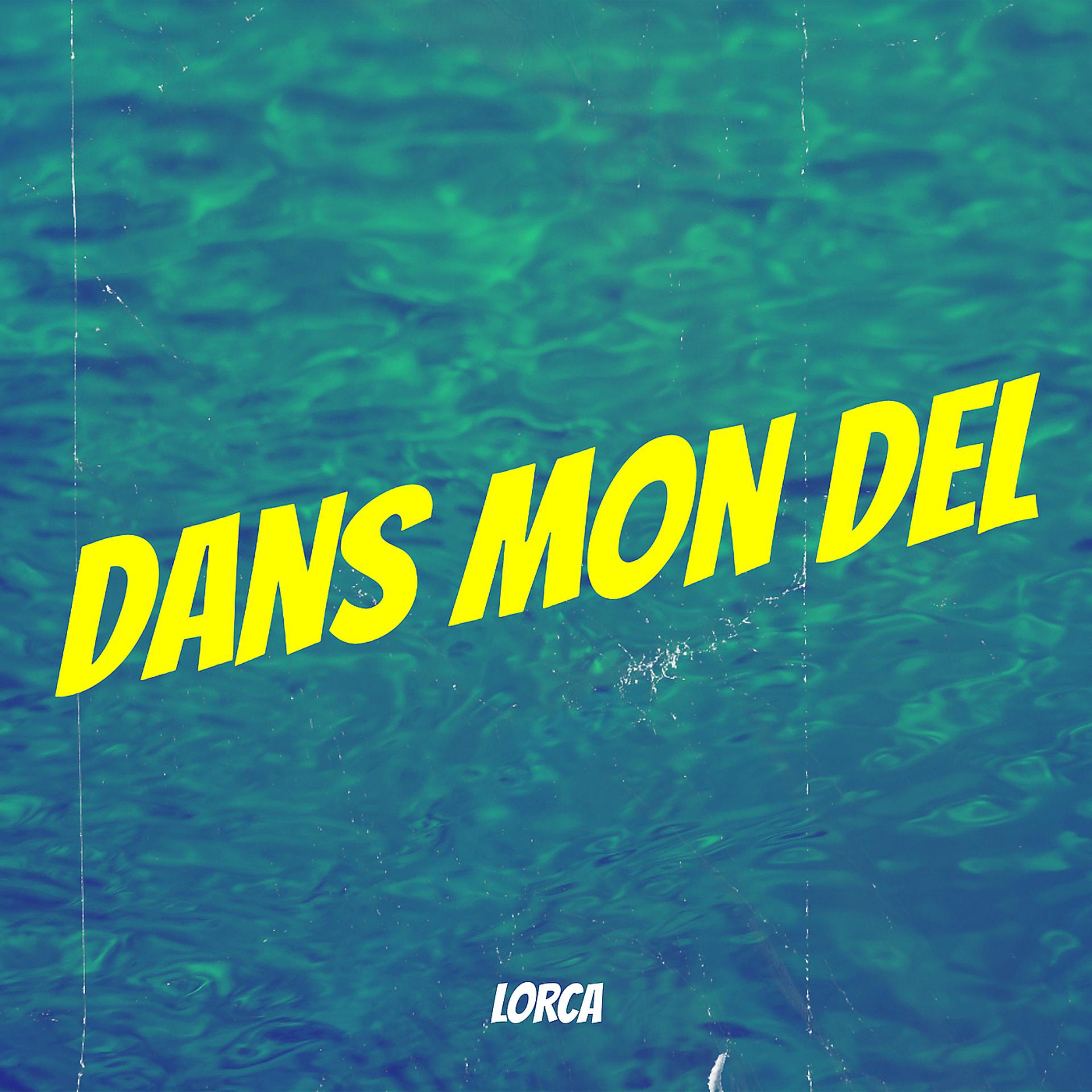 Постер альбома Dans mon del