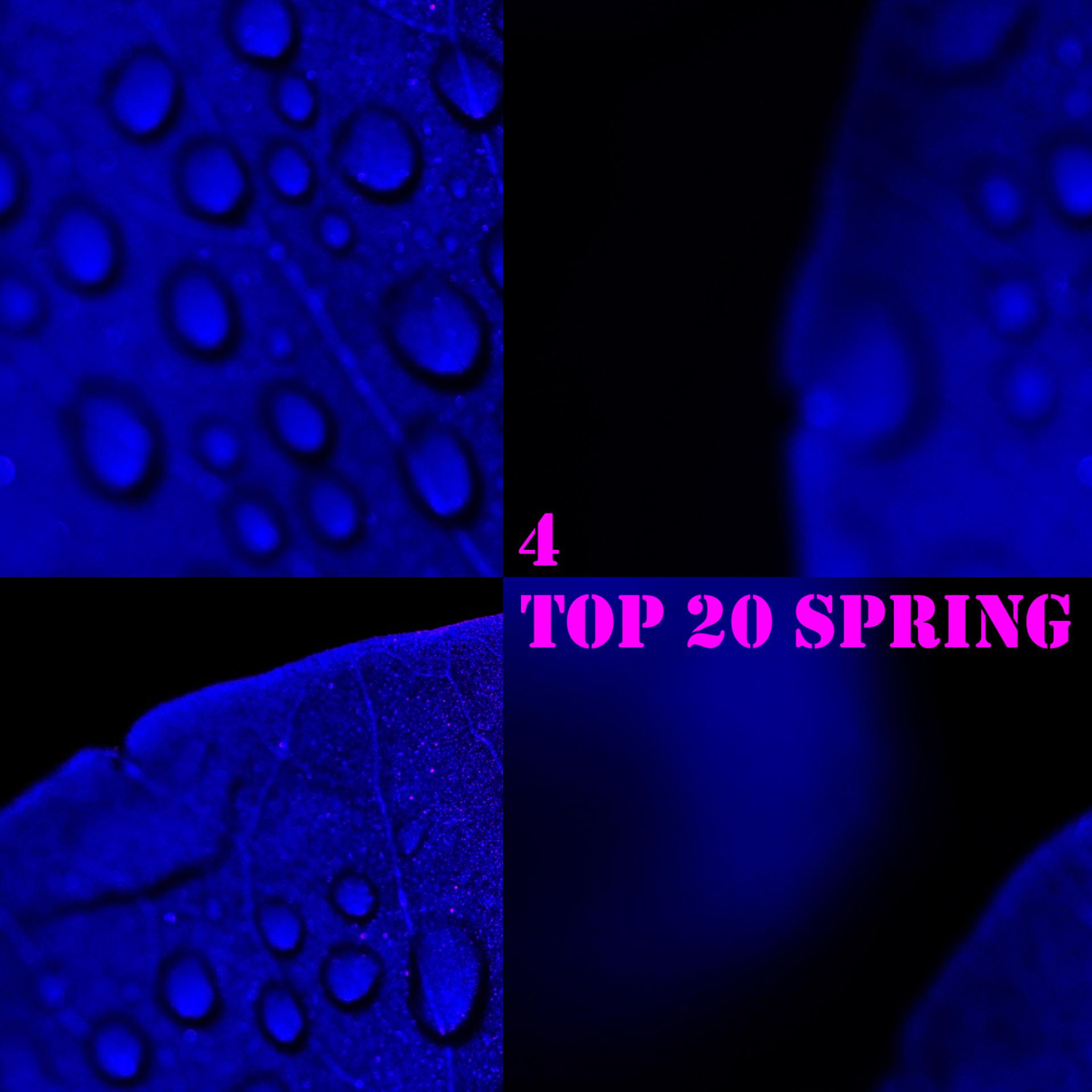 Постер альбома TOP 20 Spring, Vol. 4
