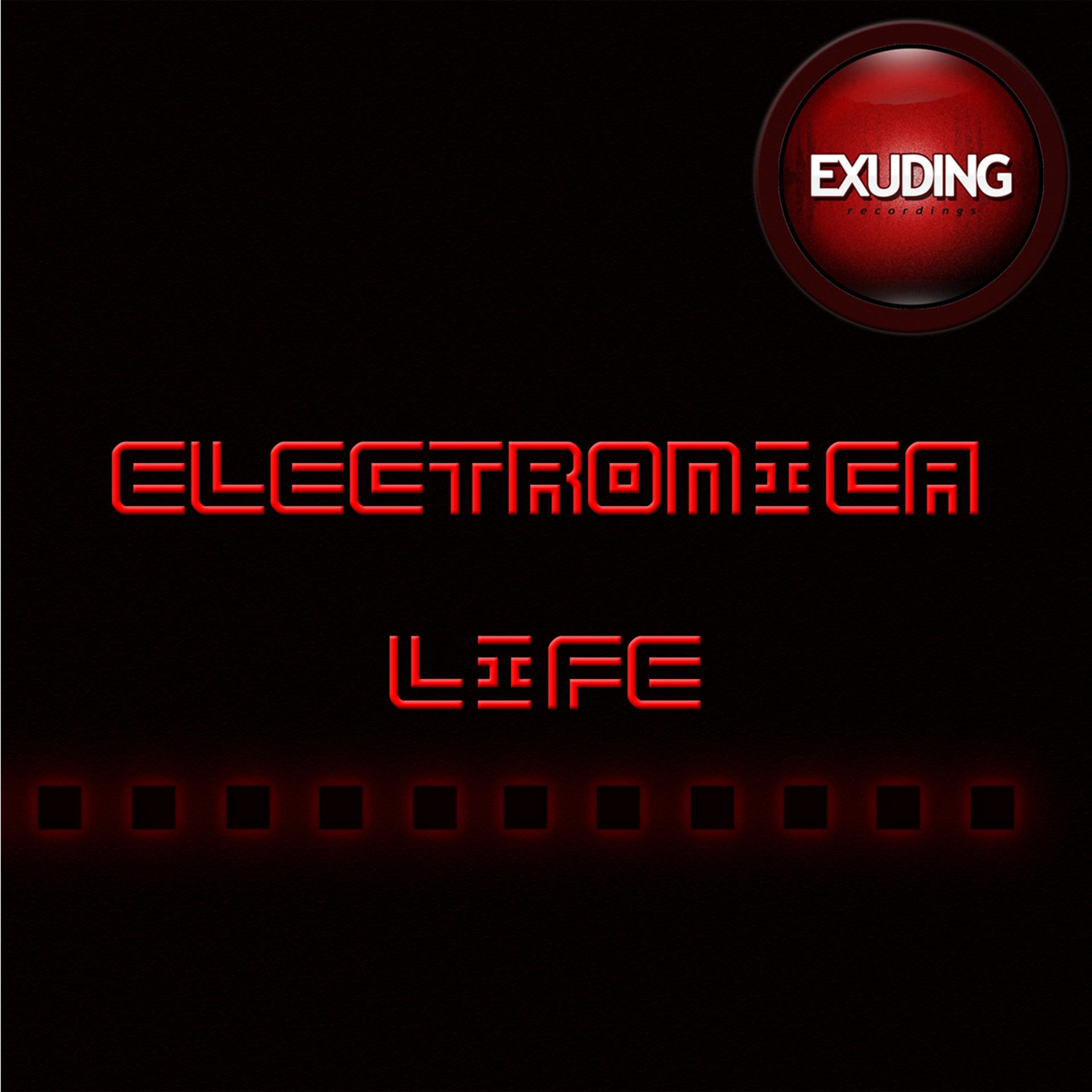 Постер альбома Electronica Life