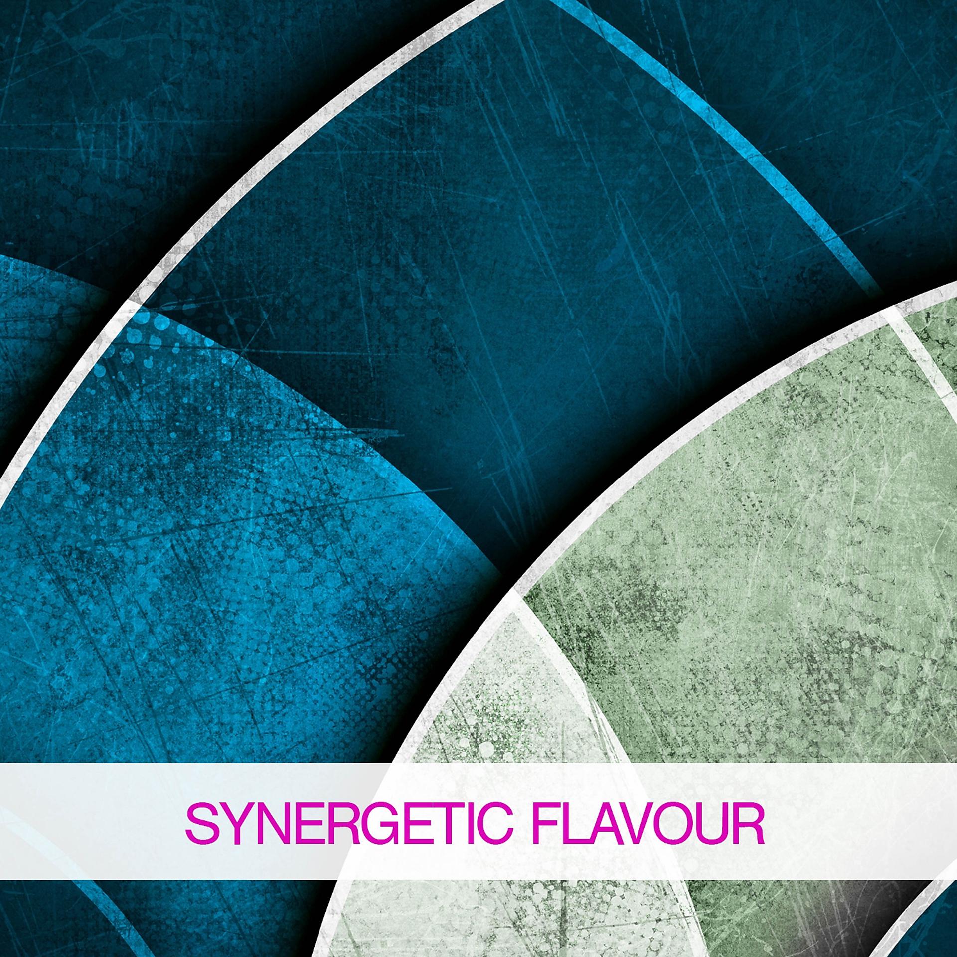 Постер альбома Synergetic Flavour