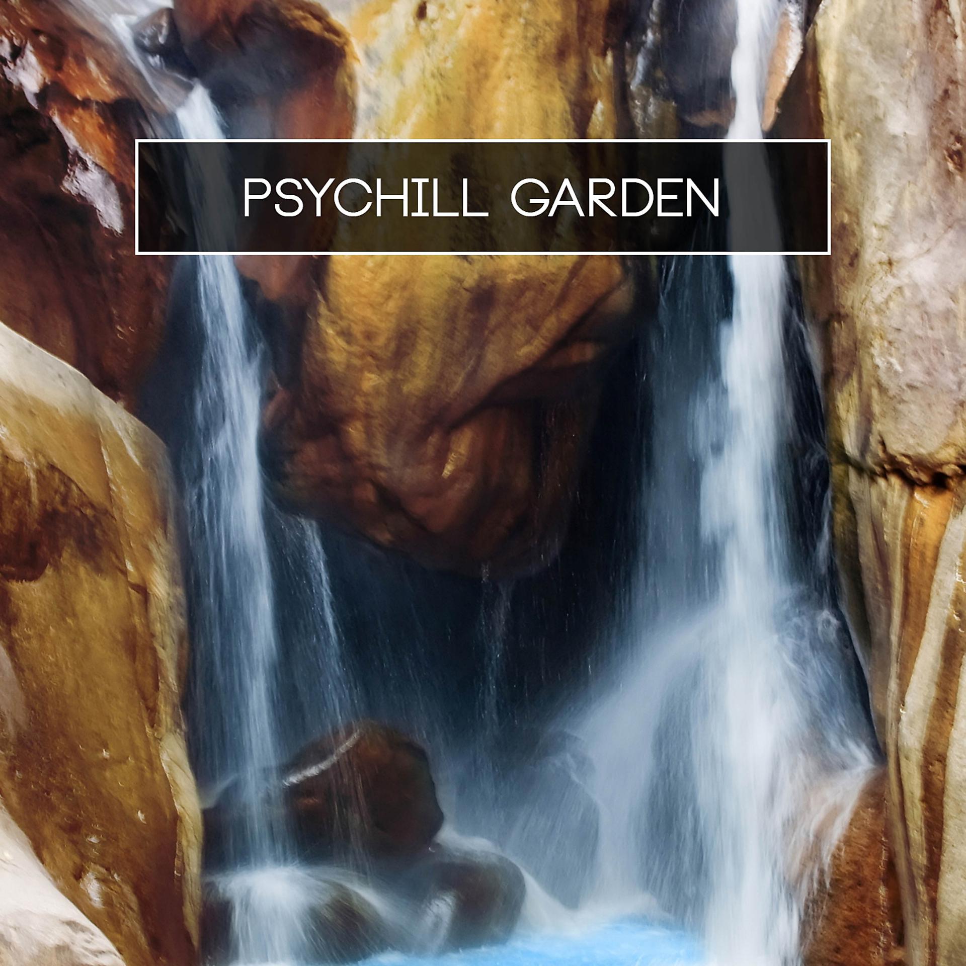 Постер альбома Psychill Garden
