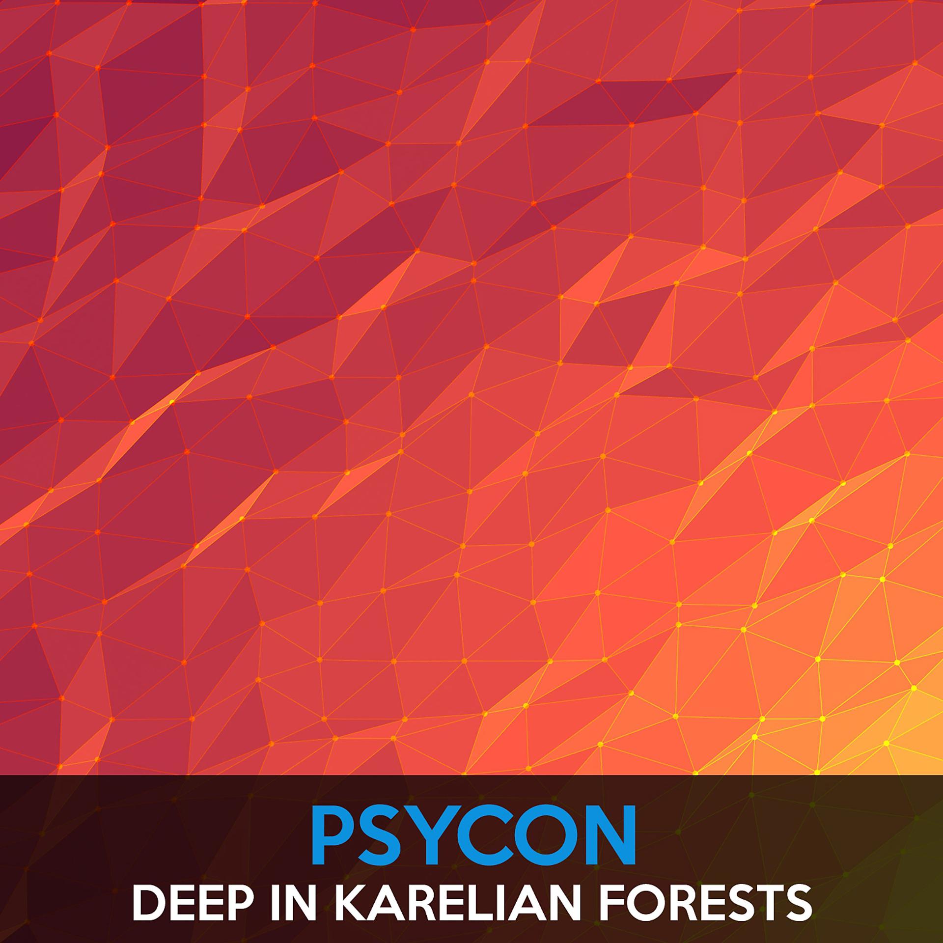Постер альбома Deep in Karelian Forests