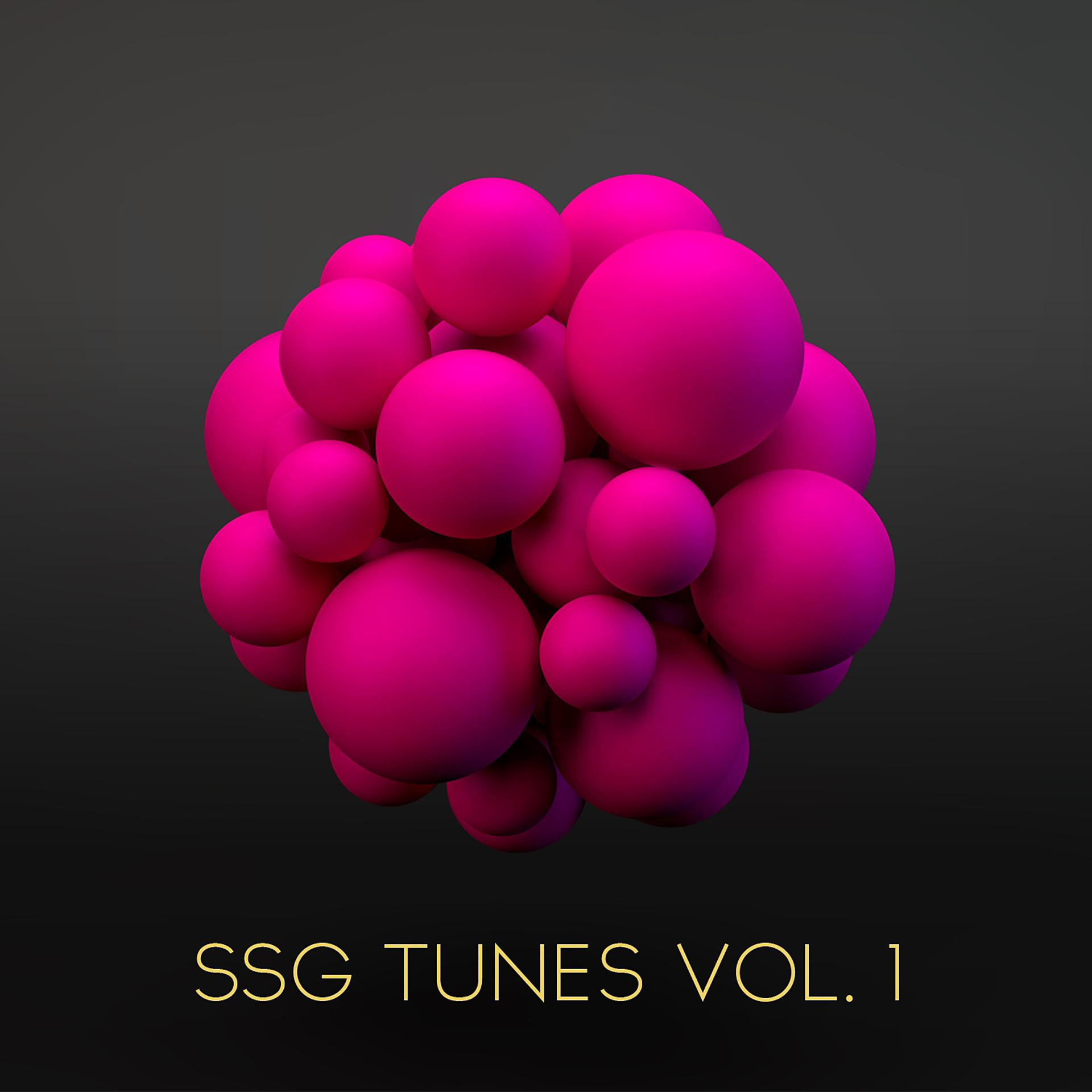 Постер альбома Ssg Tunes, Vol. 1