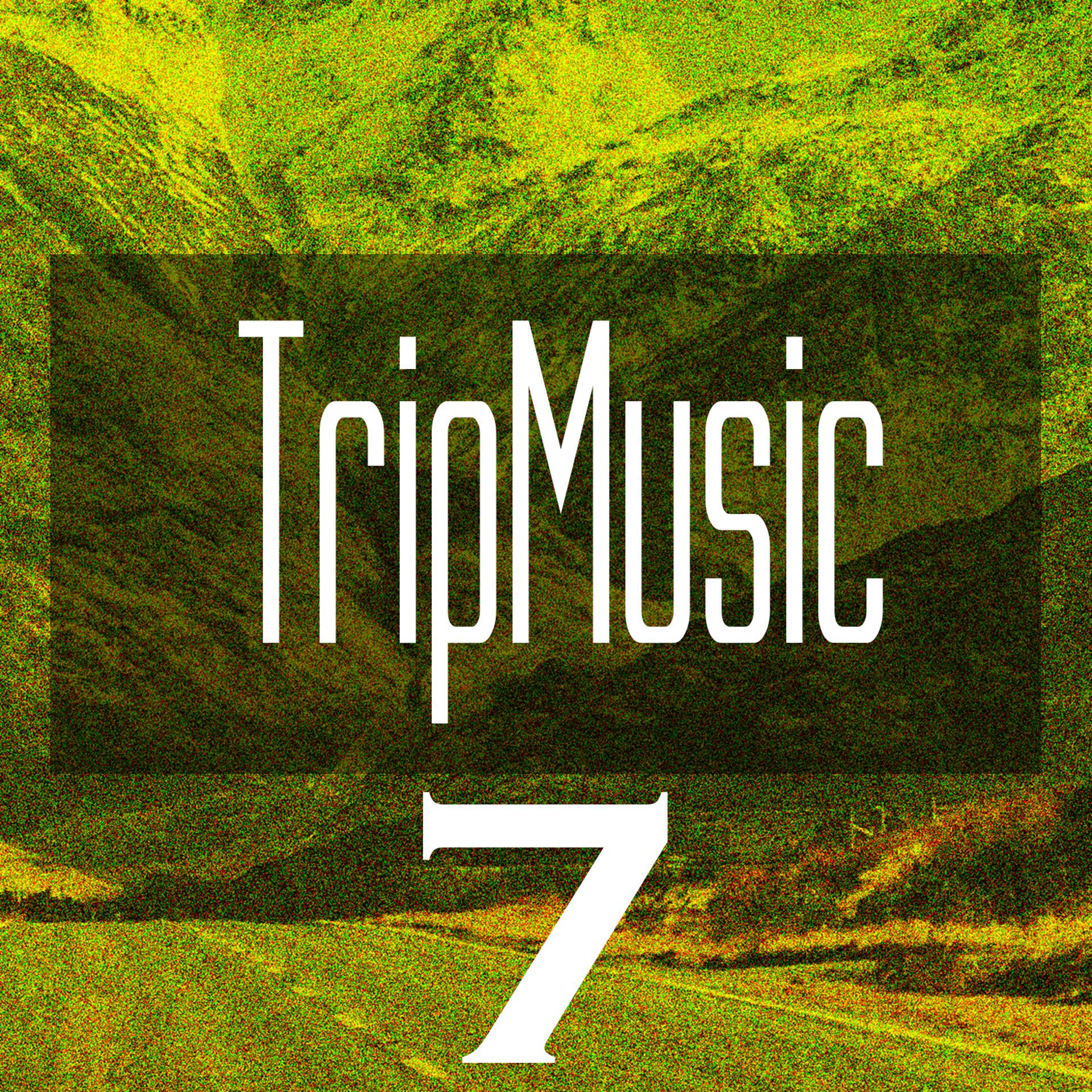 Постер альбома TripMusic 7