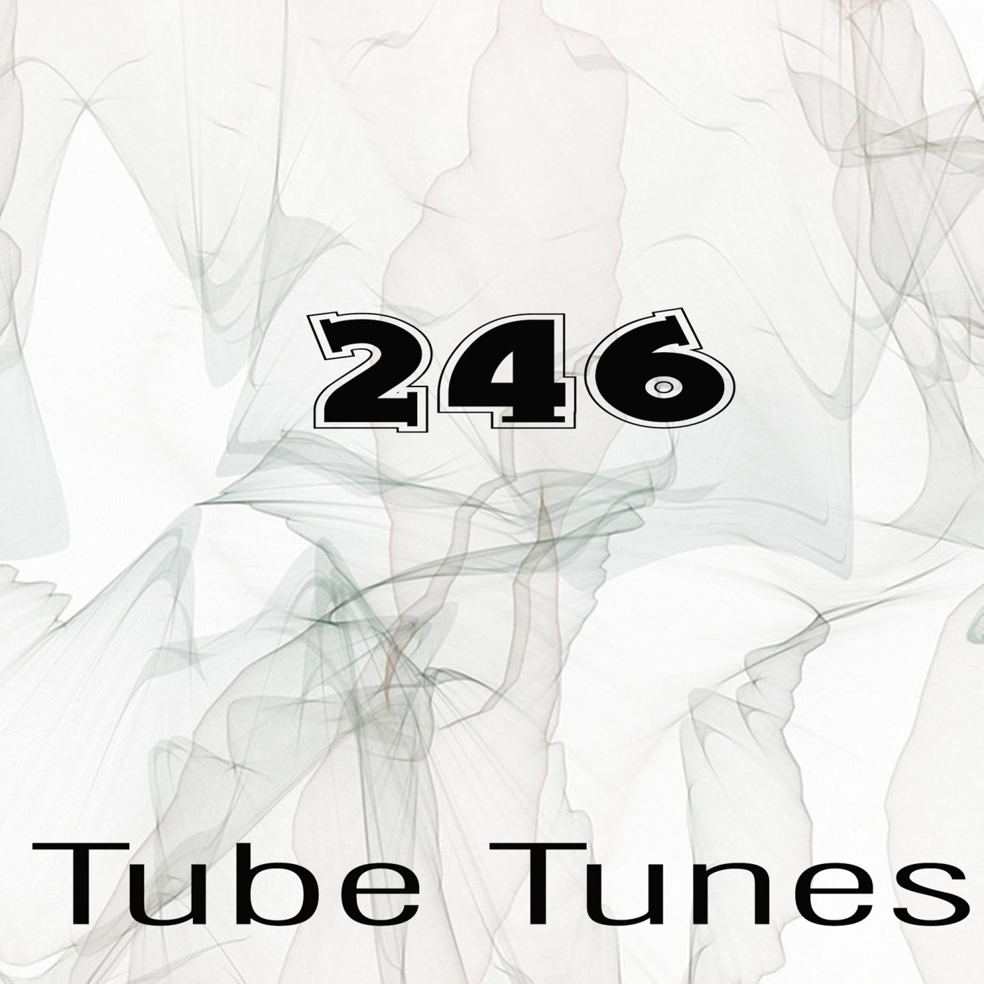 Постер альбома Tube Tunes, Vol.246