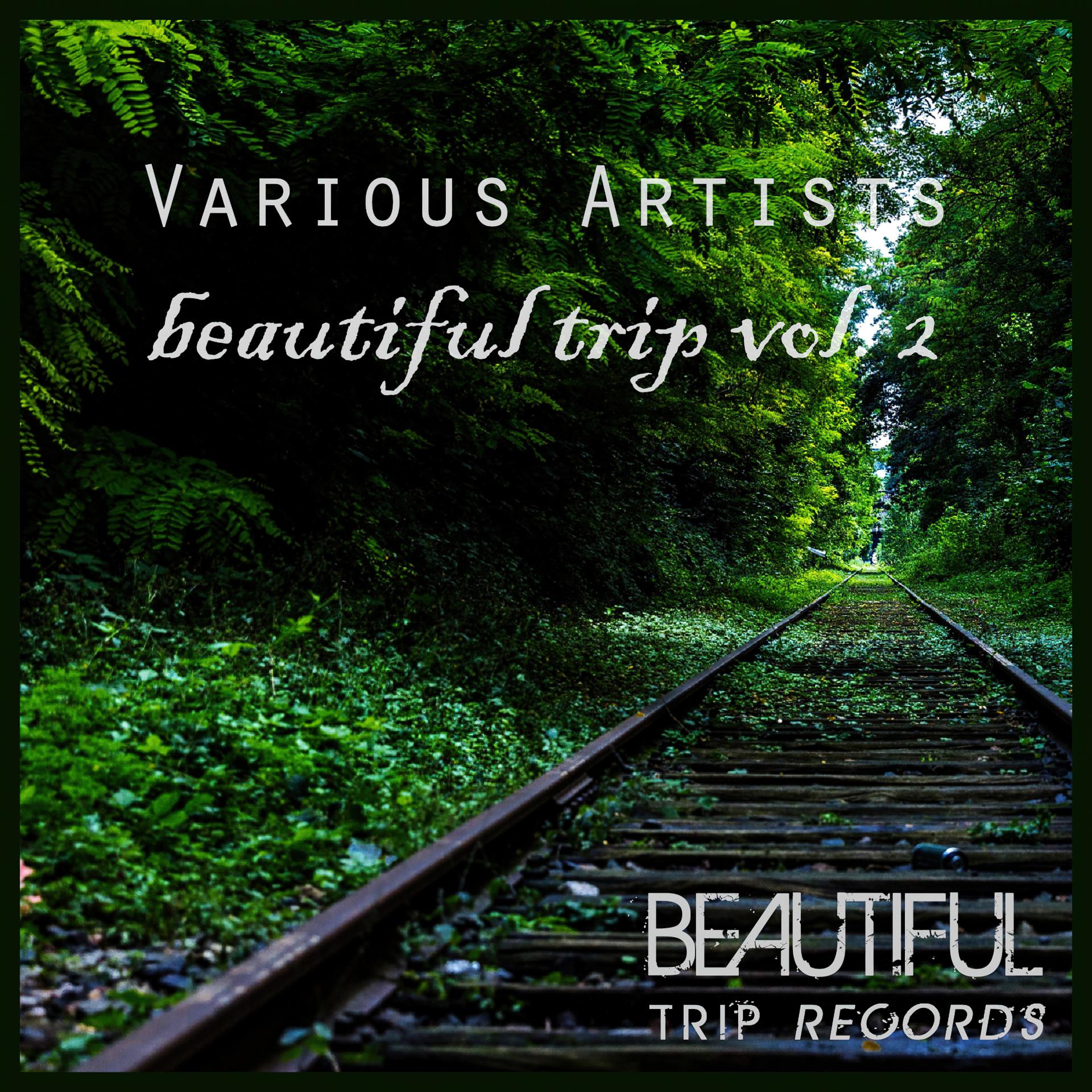 Постер альбома Beautiful Trip, Vol. 2