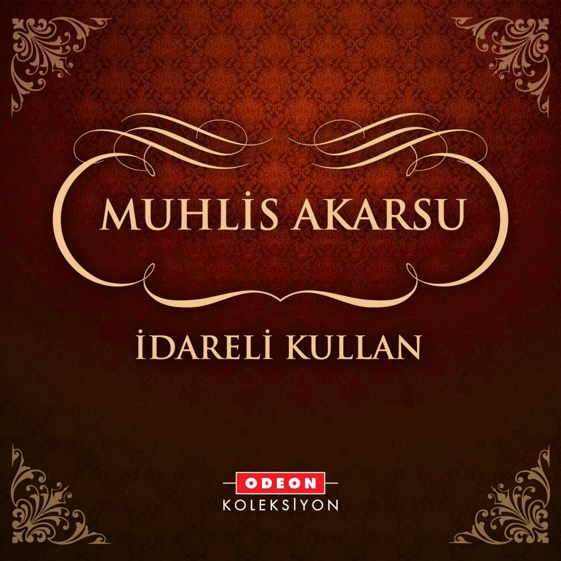 Постер альбома İdareli Kullan