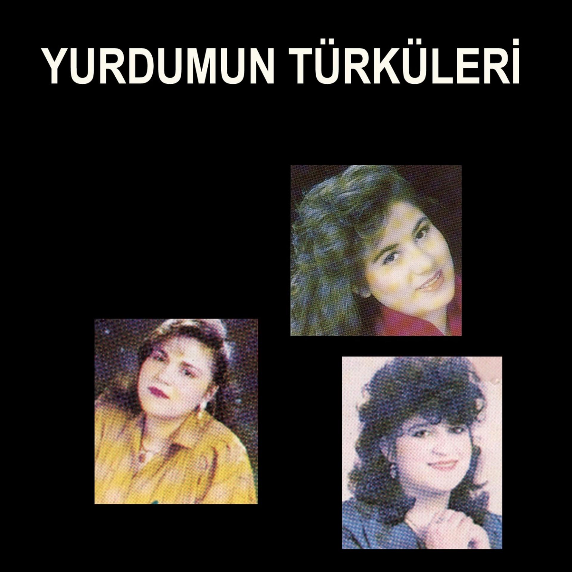 Постер альбома Yurdumun Türküleri