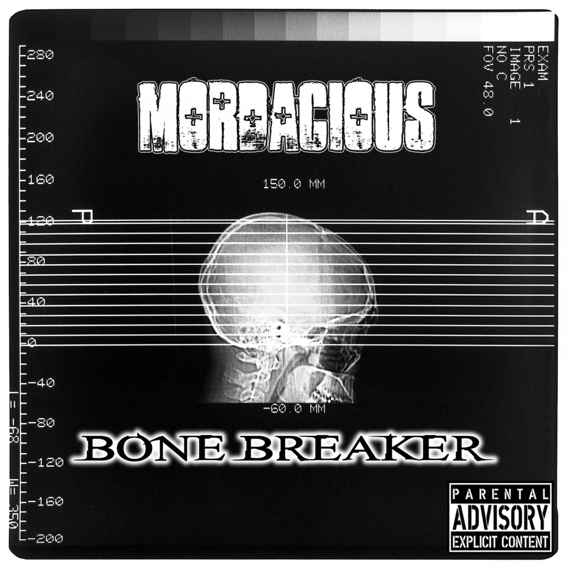Постер альбома Bone Breaker