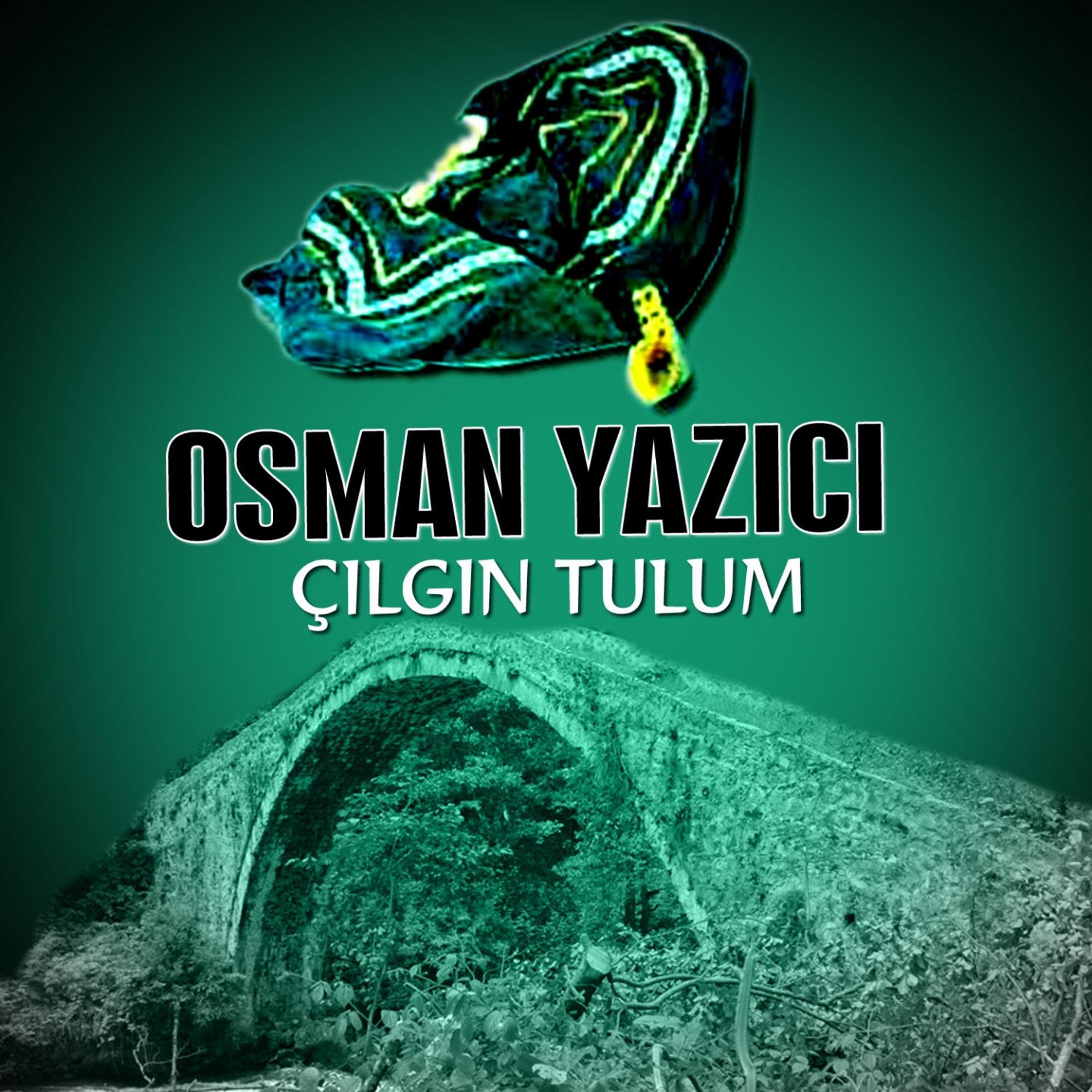 Постер альбома Çılgın Tulum