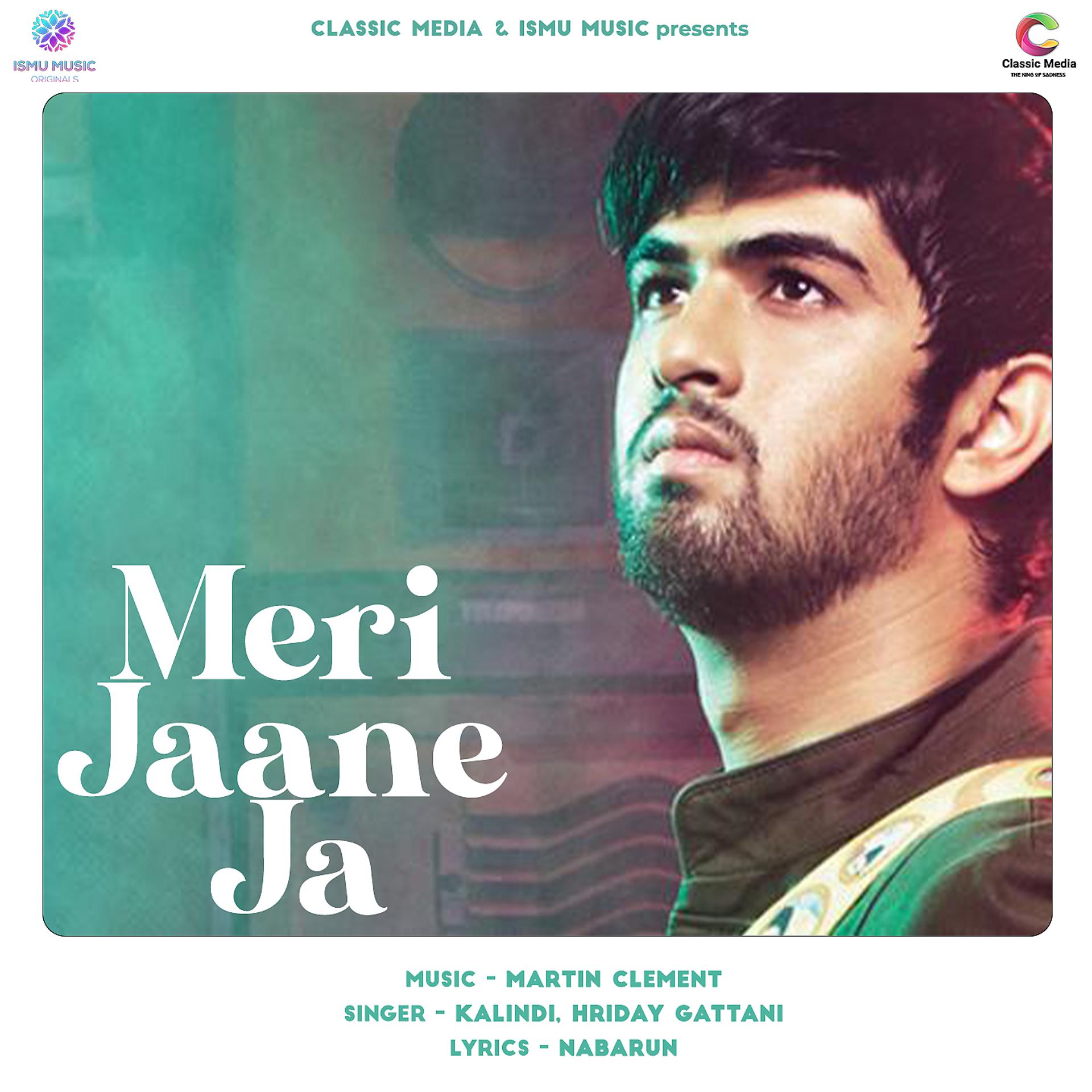 Постер альбома Meri Jaane Ja