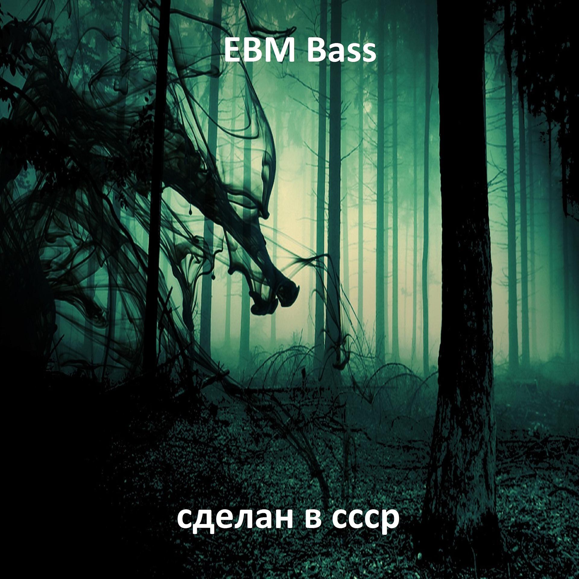Постер альбома Ebm Bass